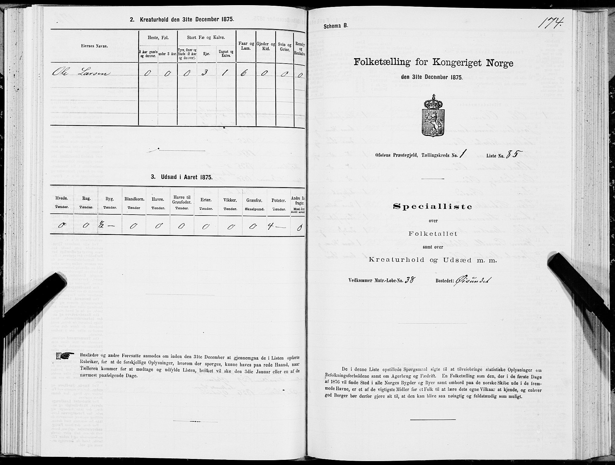 SAT, 1875 census for 1853P Ofoten, 1875, p. 1174