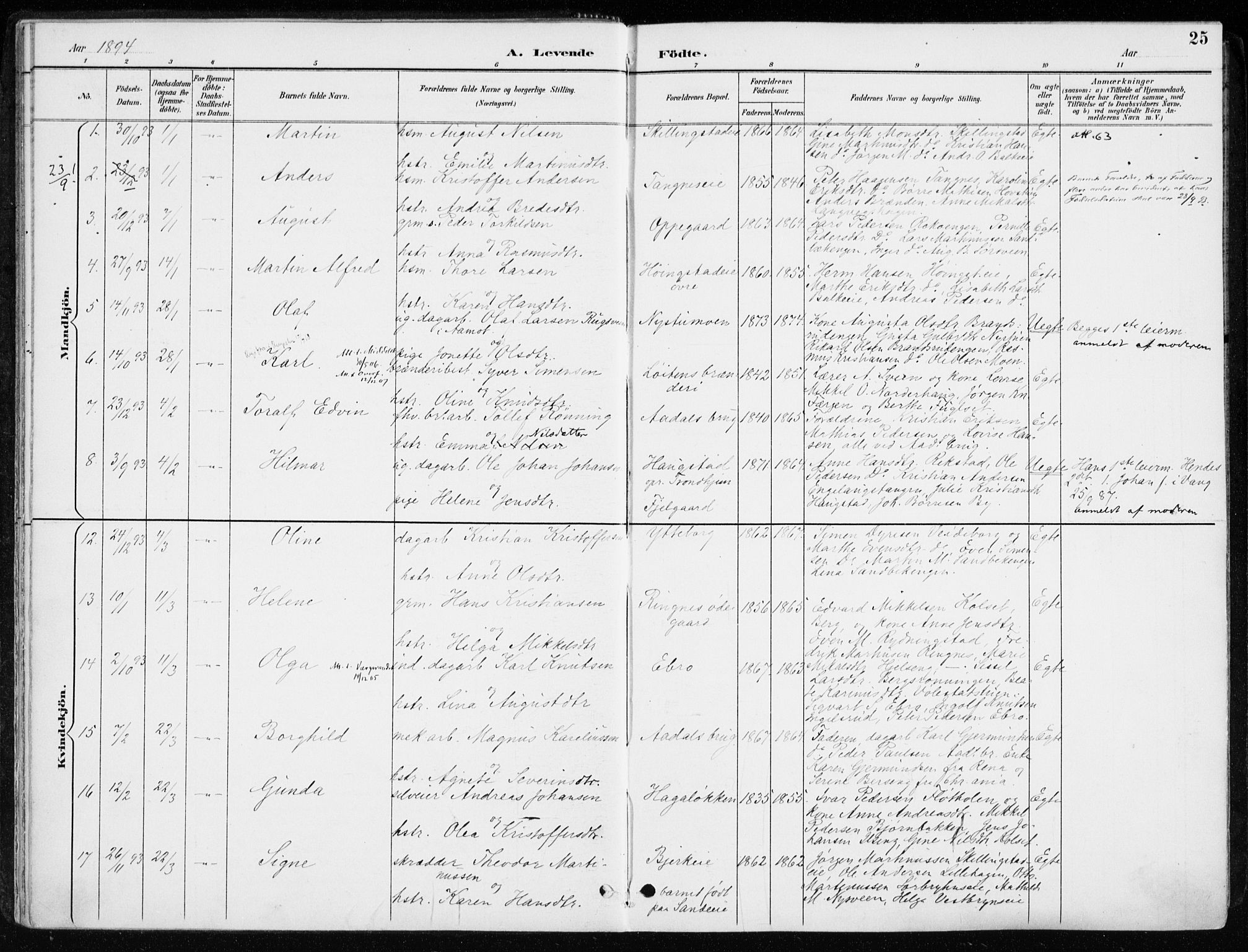 Løten prestekontor, AV/SAH-PREST-022/K/Ka/L0010: Parish register (official) no. 10, 1892-1907, p. 25