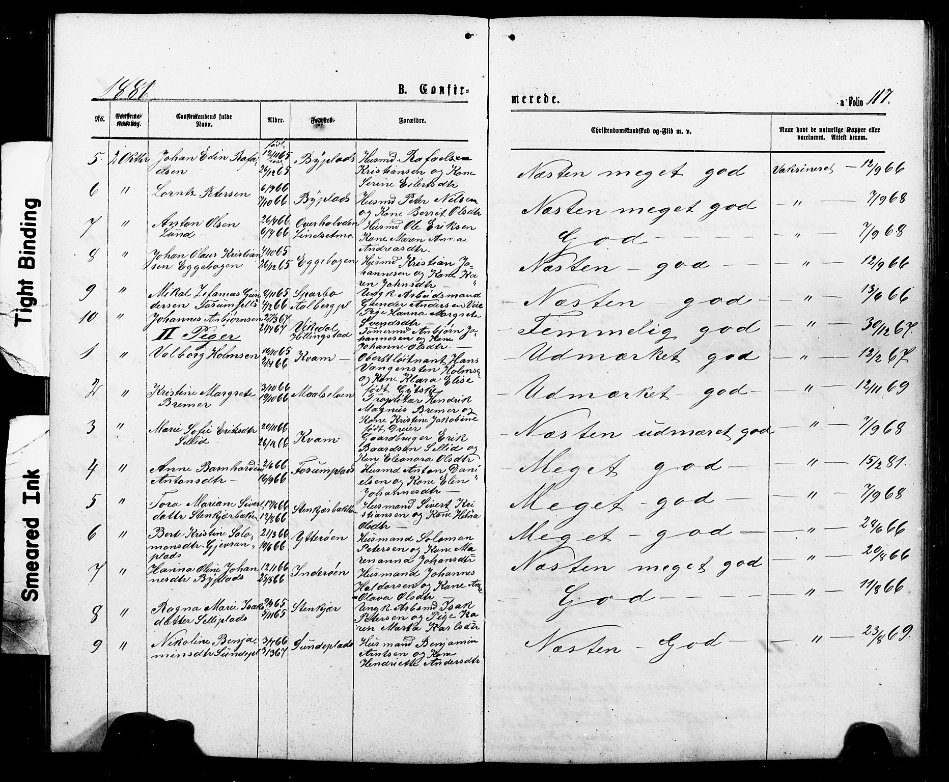 Ministerialprotokoller, klokkerbøker og fødselsregistre - Nord-Trøndelag, AV/SAT-A-1458/740/L0380: Parish register (copy) no. 740C01, 1868-1902, p. 117