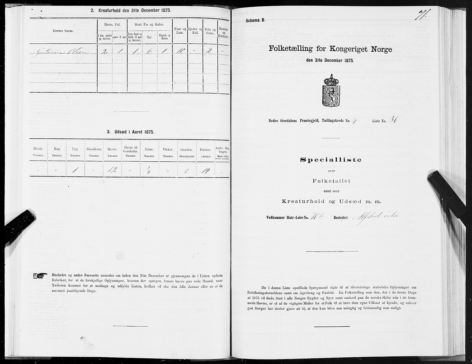 SAT, 1875 census for 1714P Nedre Stjørdal, 1875, p. 2071