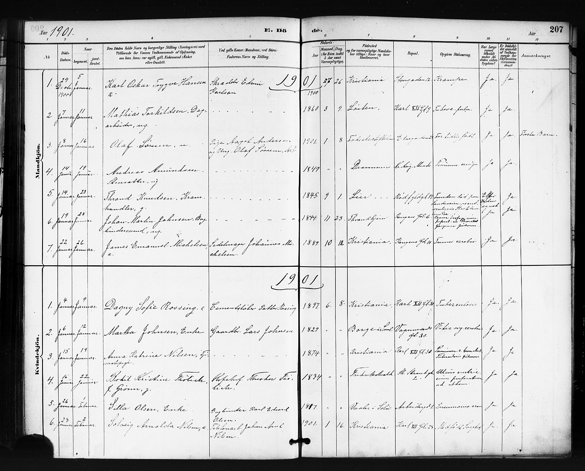 Oslo domkirke Kirkebøker, SAO/A-10752/F/Fa/L0035: Parish register (official) no. 35, 1885-1901, p. 207