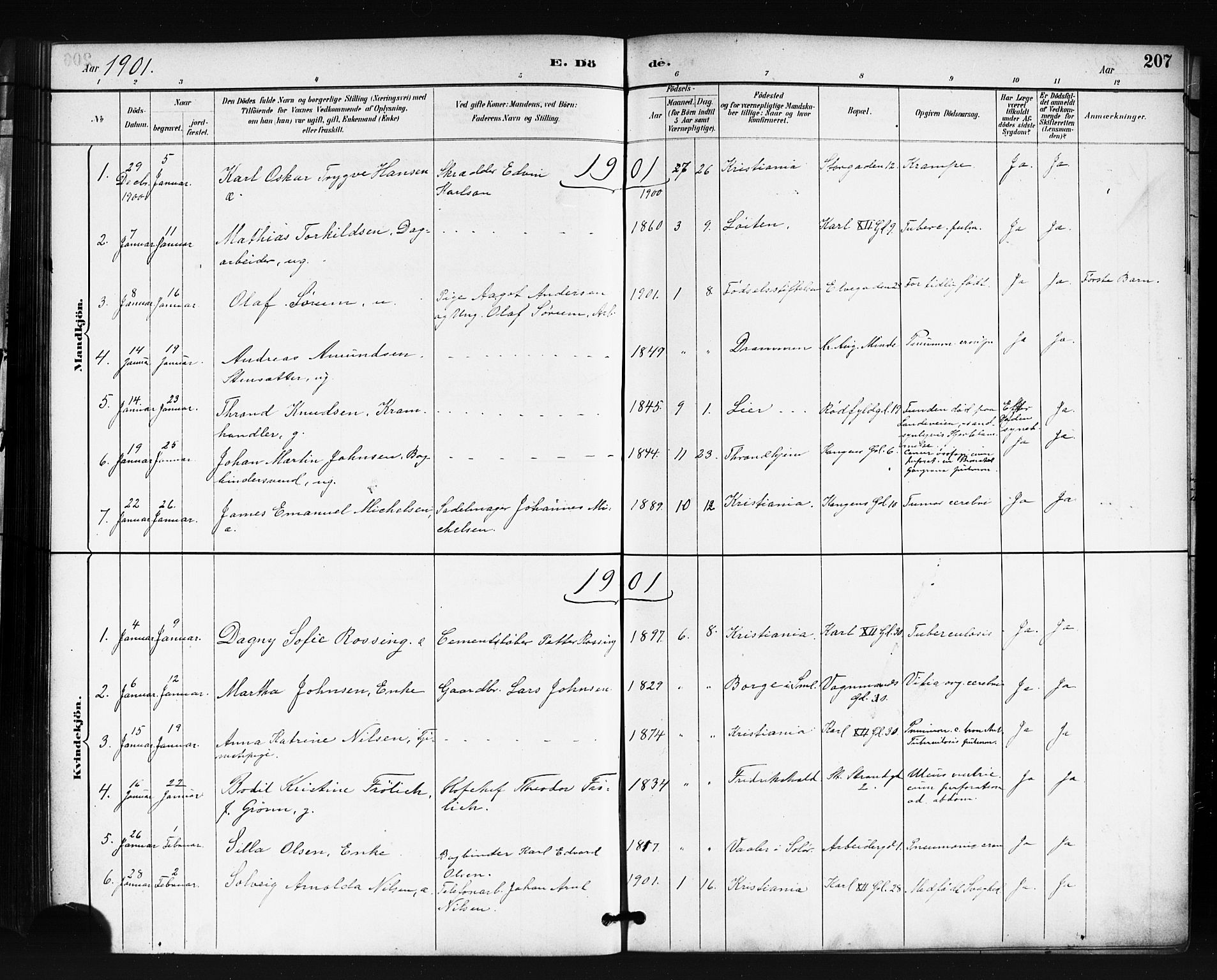 Oslo domkirke Kirkebøker, AV/SAO-A-10752/F/Fa/L0035: Parish register (official) no. 35, 1885-1901, p. 207