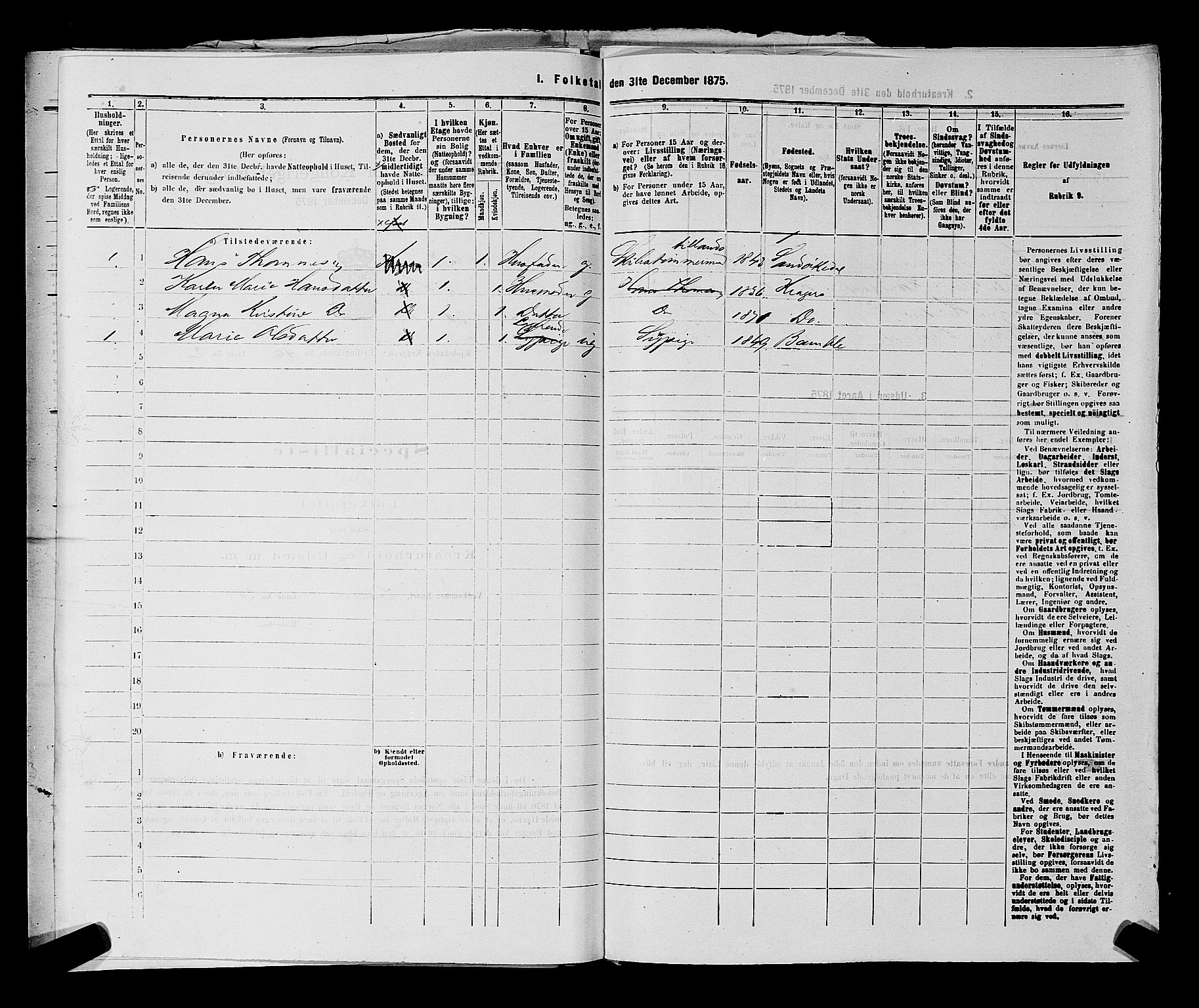 SAKO, 1875 census for 0801P Kragerø, 1875, p. 873