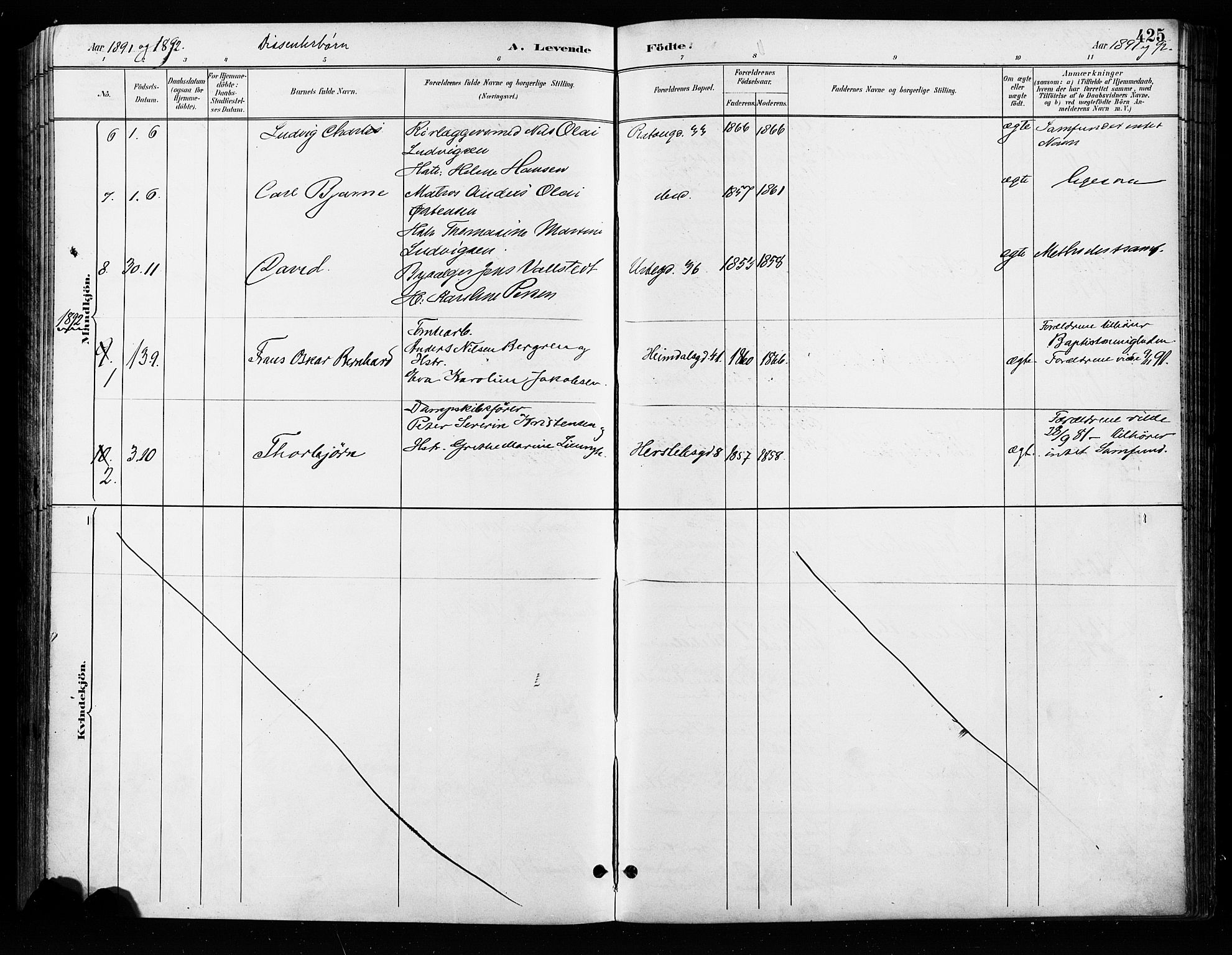 Grønland prestekontor Kirkebøker, SAO/A-10848/F/Fa/L0009: Parish register (official) no. 9, 1888-1893, p. 425