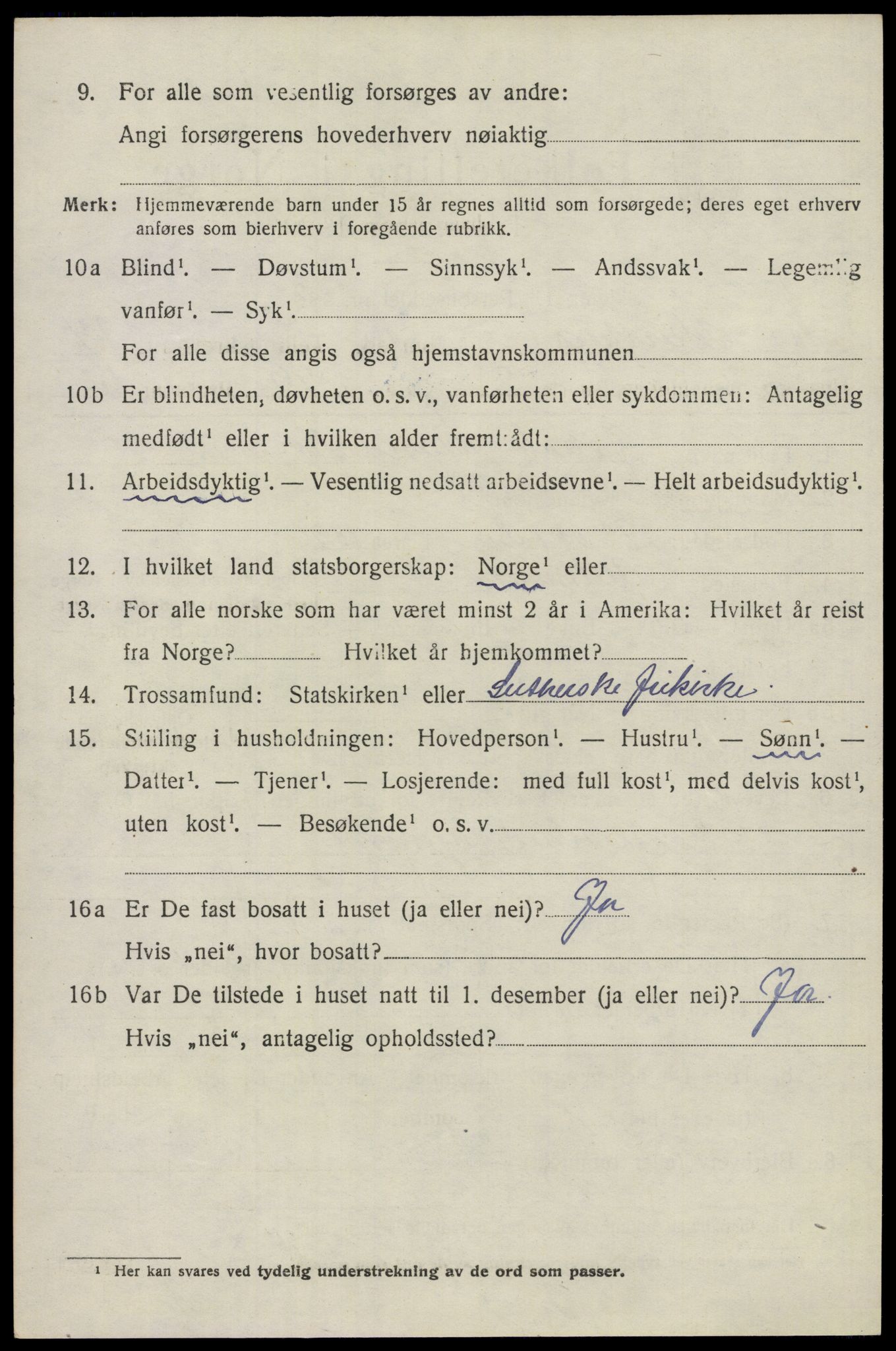 SAO, 1920 census for Nes, 1920, p. 13961