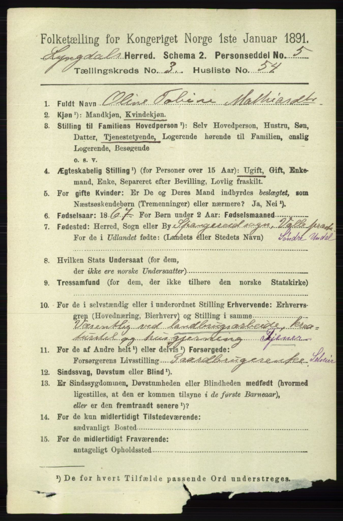 RA, 1891 census for 1032 Lyngdal, 1891, p. 1351