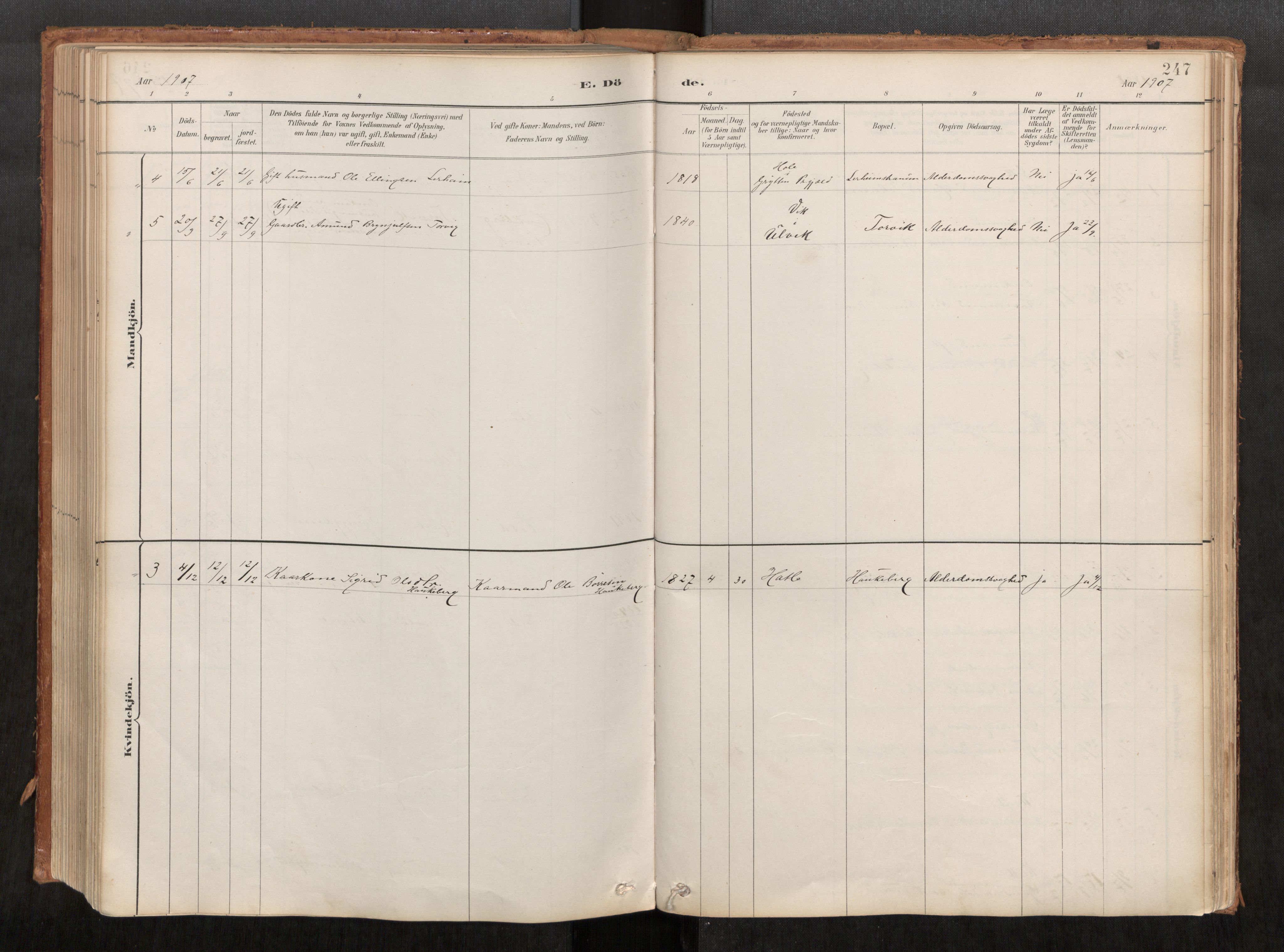 Ministerialprotokoller, klokkerbøker og fødselsregistre - Møre og Romsdal, AV/SAT-A-1454/542/L0553: Parish register (official) no. 542A03, 1885-1925, p. 247