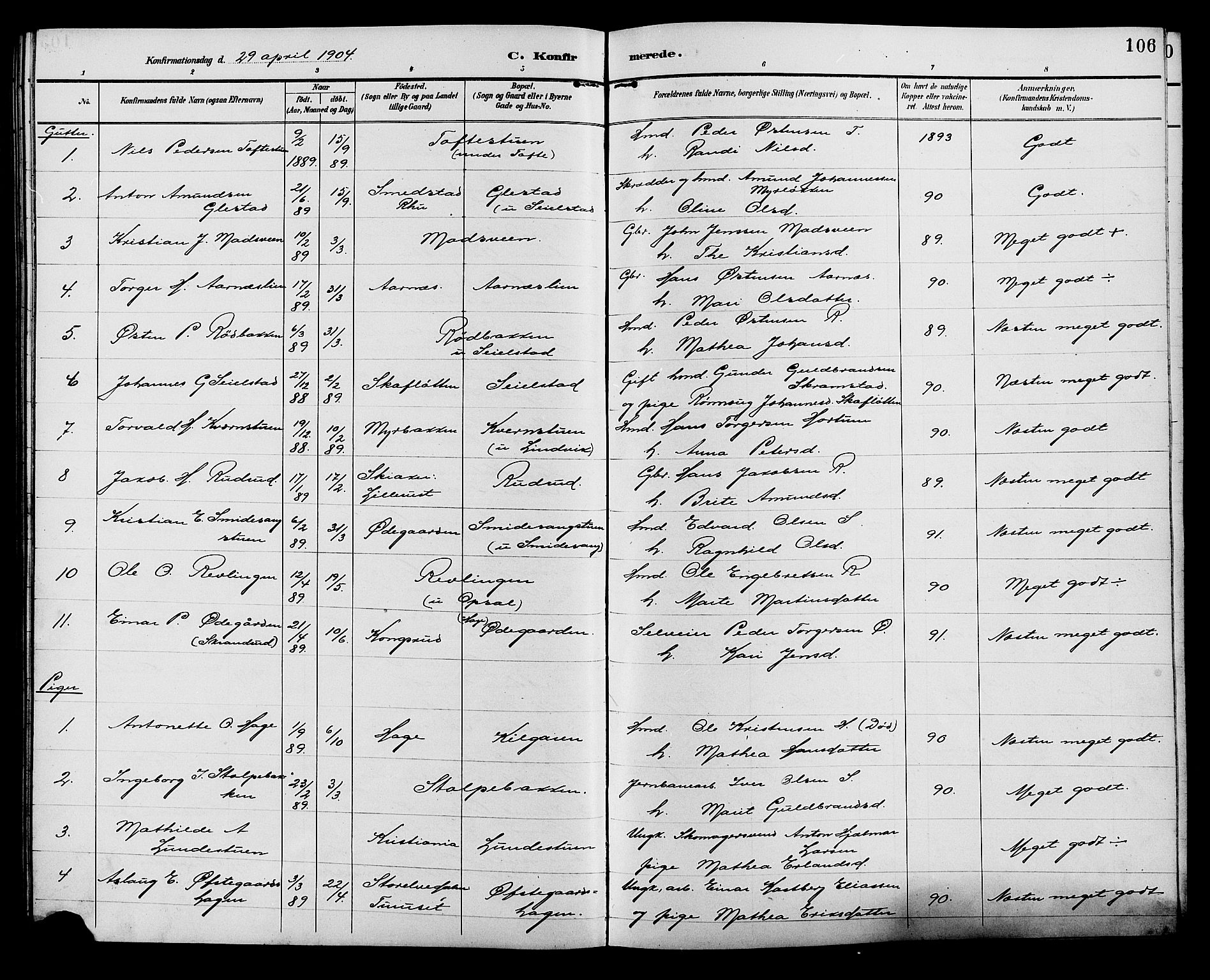 Ringebu prestekontor, SAH/PREST-082/H/Ha/Hab/L0007: Parish register (copy) no. 7, 1890-1910, p. 106