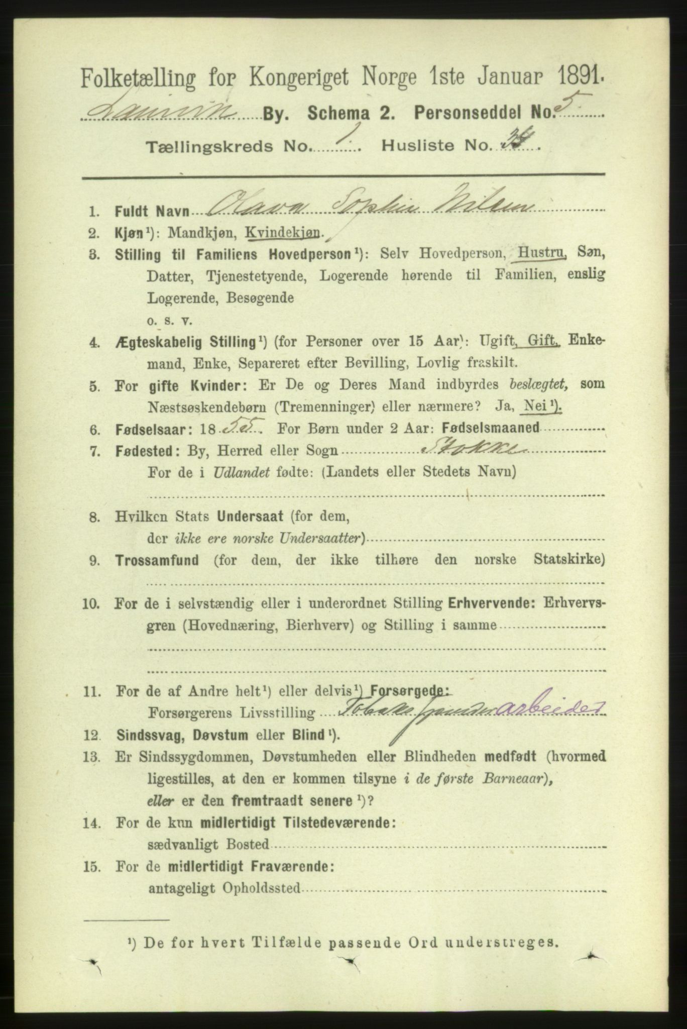 RA, 1891 census for 0707 Larvik, 1891, p. 2656