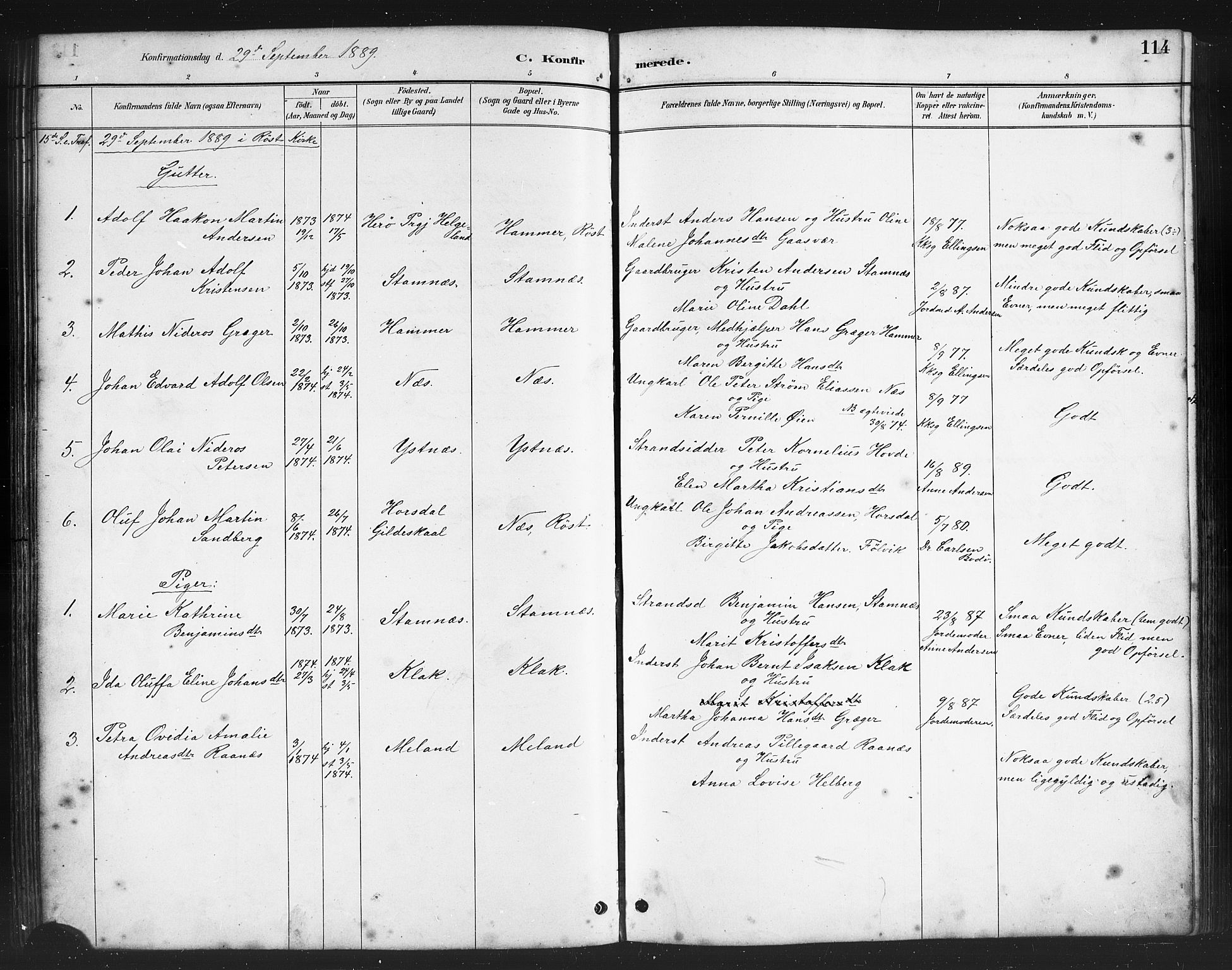 Ministerialprotokoller, klokkerbøker og fødselsregistre - Nordland, AV/SAT-A-1459/808/L0131: Parish register (copy) no. 808C02, 1879-1919, p. 114