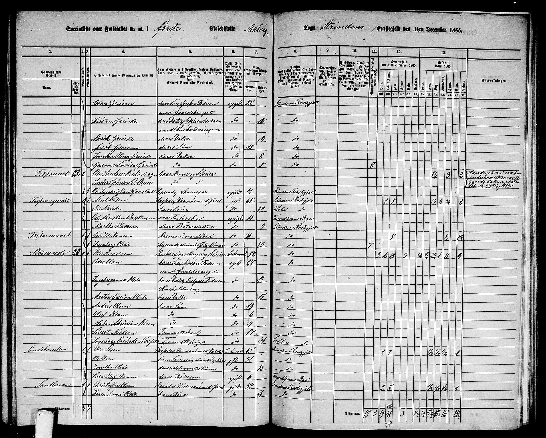 RA, 1865 census for Strinda, 1865, p. 205