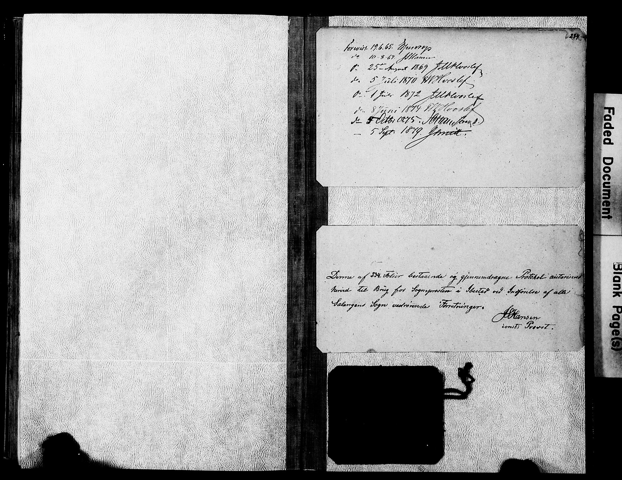 Ibestad sokneprestembete, AV/SATØ-S-0077/H/Ha/Haa/L0013kirke: Parish register (official) no. 13, 1865-1879, p. 234
