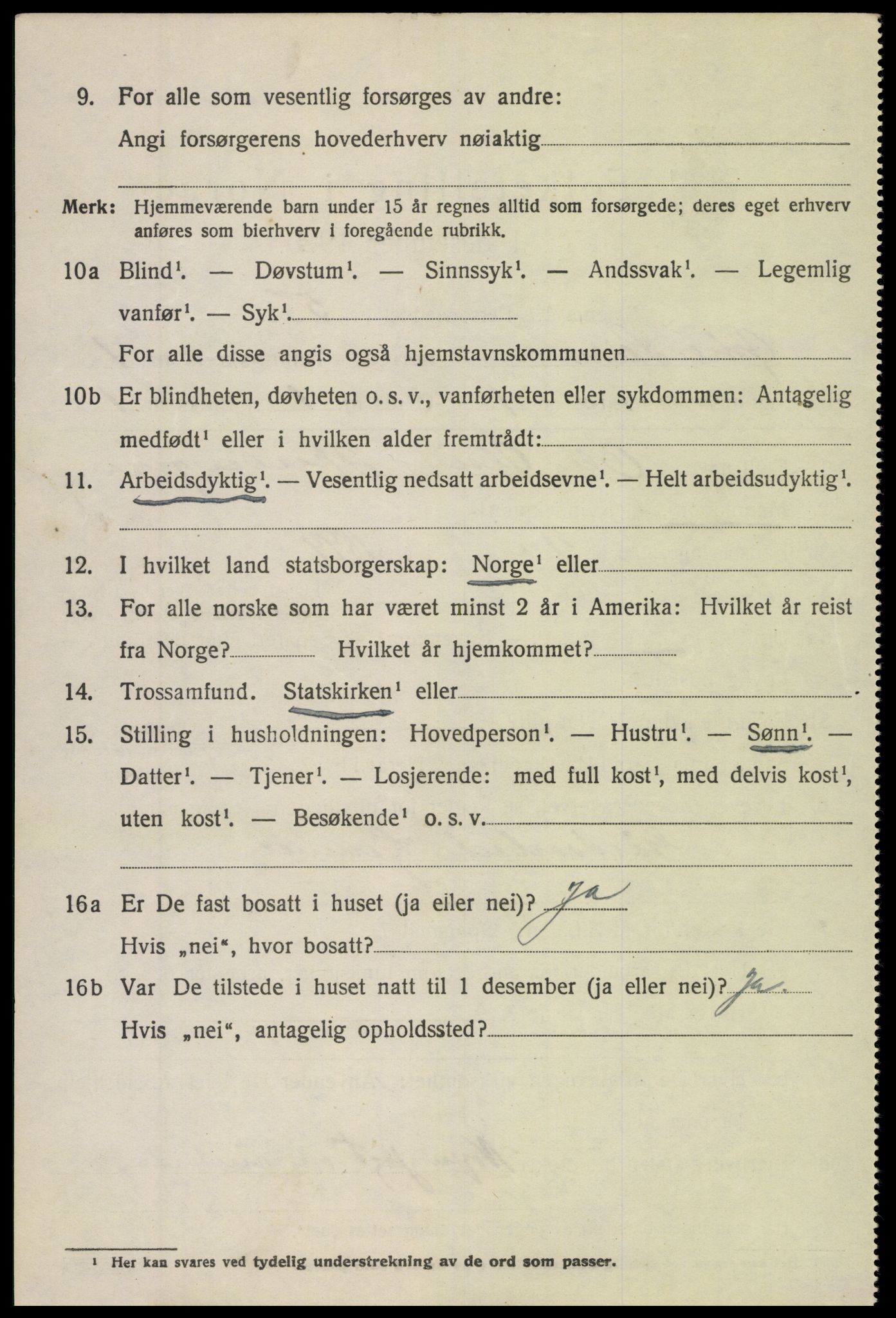 SAH, 1920 census for Øystre Slidre, 1920, p. 1012