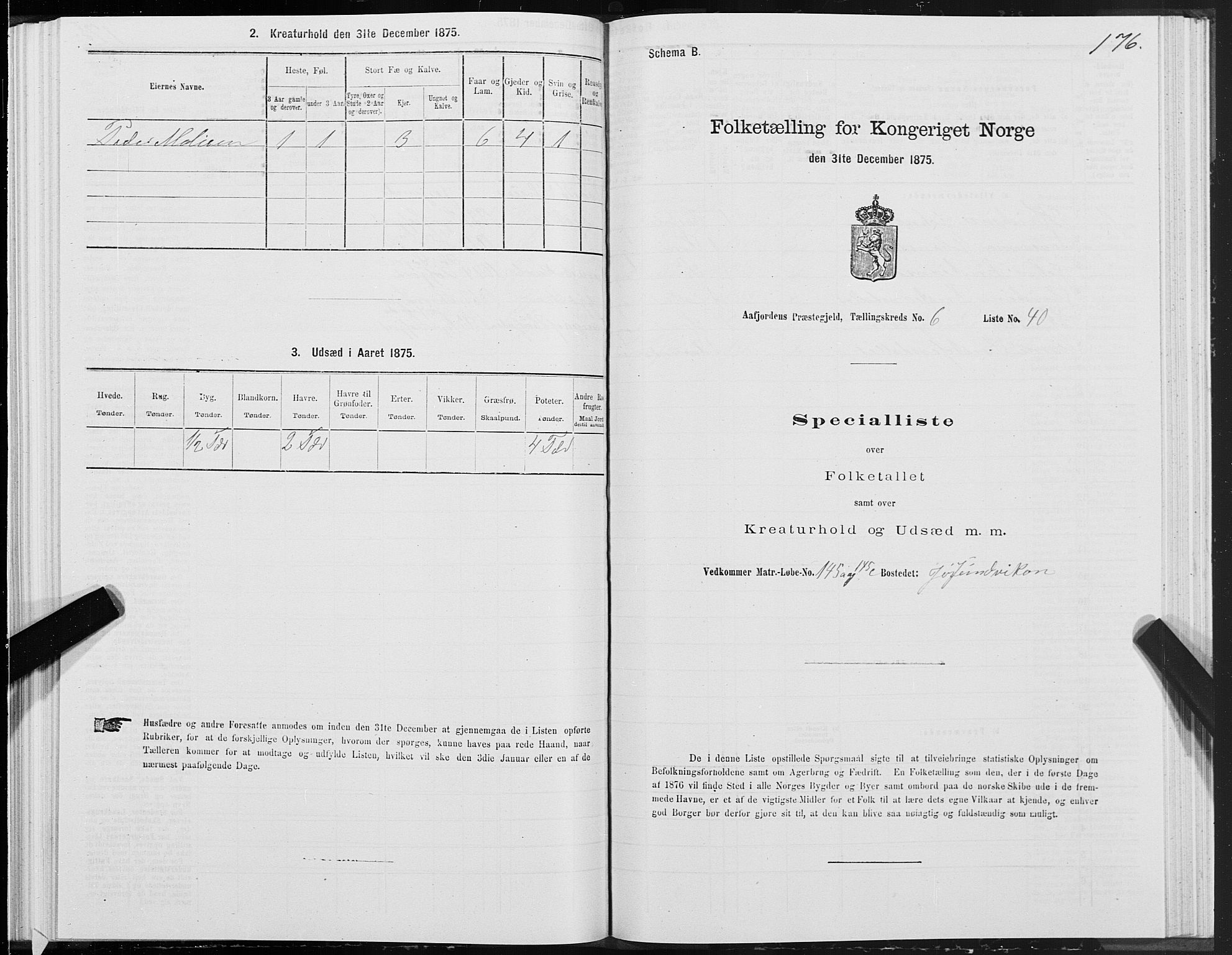 SAT, 1875 census for 1630P Aafjorden, 1875, p. 3176