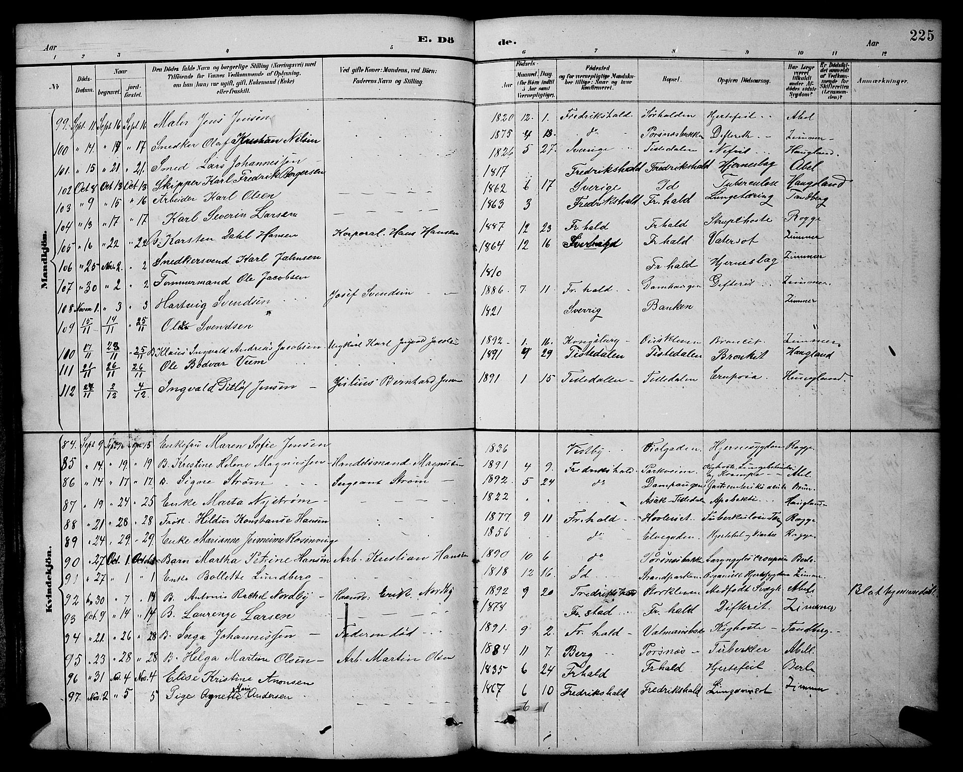 Halden prestekontor Kirkebøker, AV/SAO-A-10909/G/Ga/L0009: Parish register (copy) no. 9, 1885-1908, p. 225