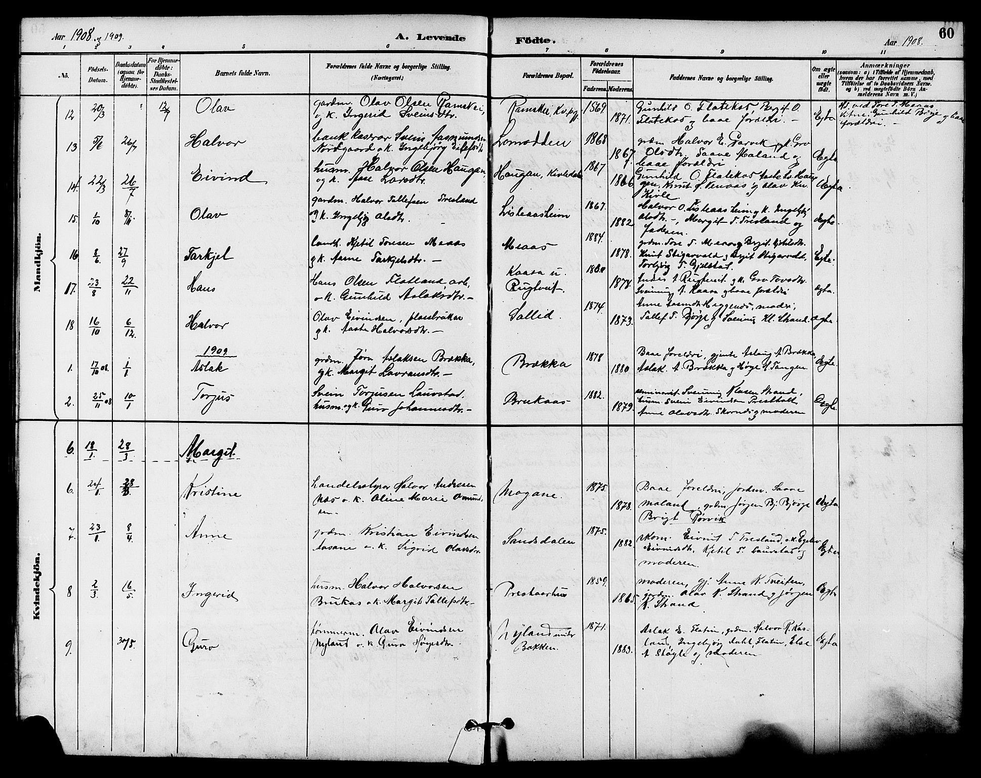 Seljord kirkebøker, AV/SAKO-A-20/G/Ga/L0005: Parish register (copy) no. I 5, 1887-1914, p. 60