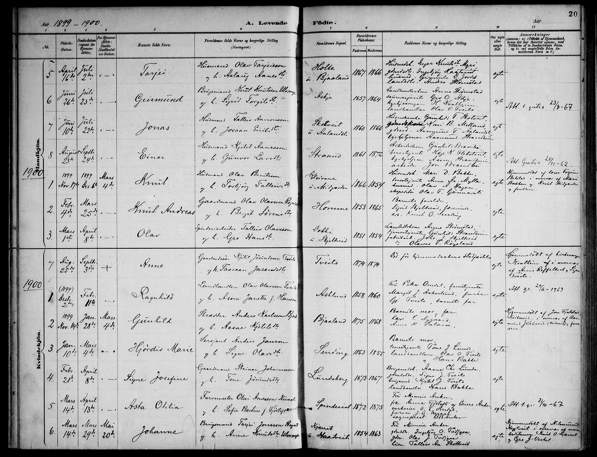 Lårdal kirkebøker, AV/SAKO-A-284/F/Fa/L0007: Parish register (official) no. I 7, 1887-1906, p. 20