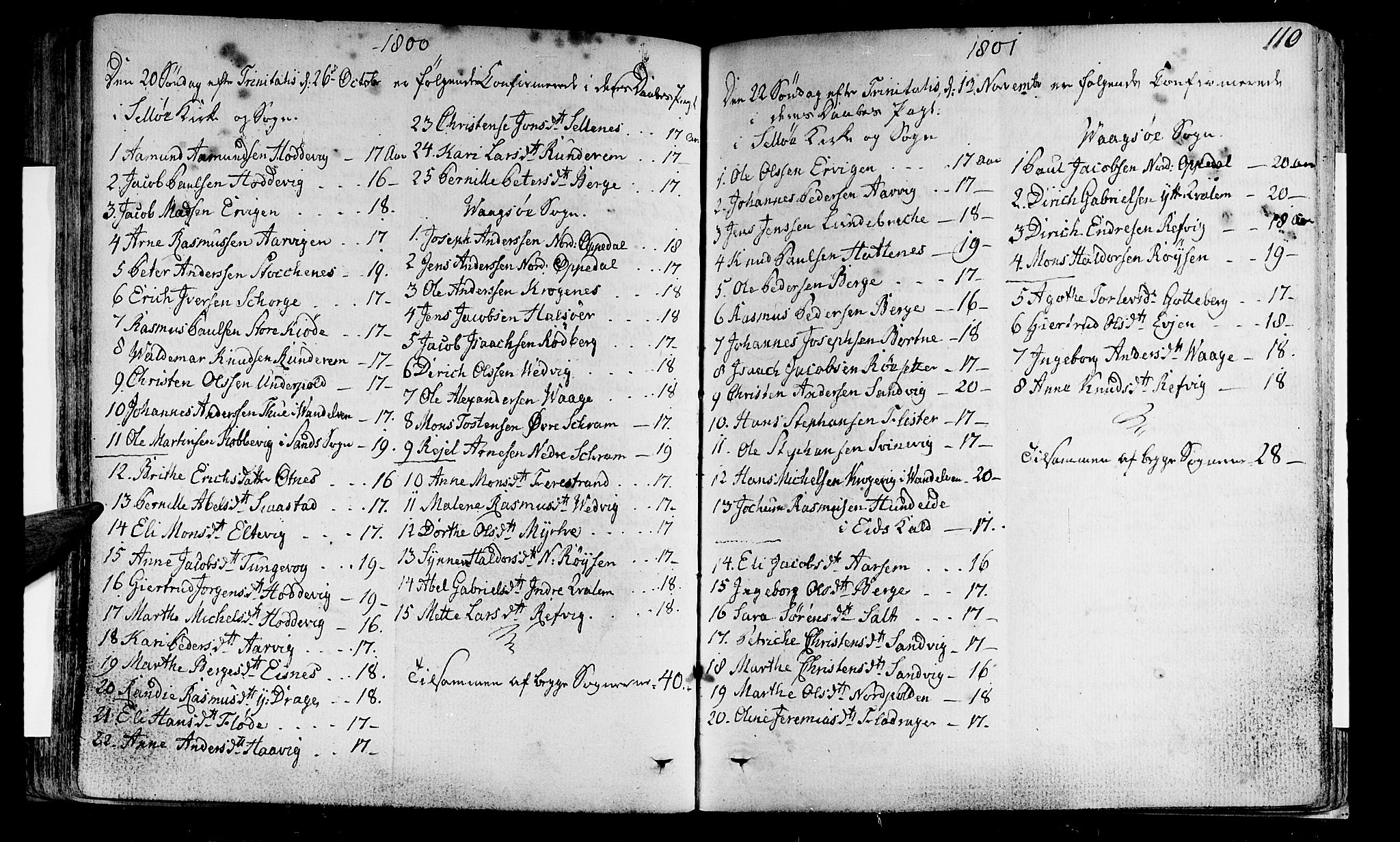 Selje sokneprestembete, SAB/A-99938/H/Ha/Haa/Haaa: Parish register (official) no. A 6, 1782-1806, p. 110