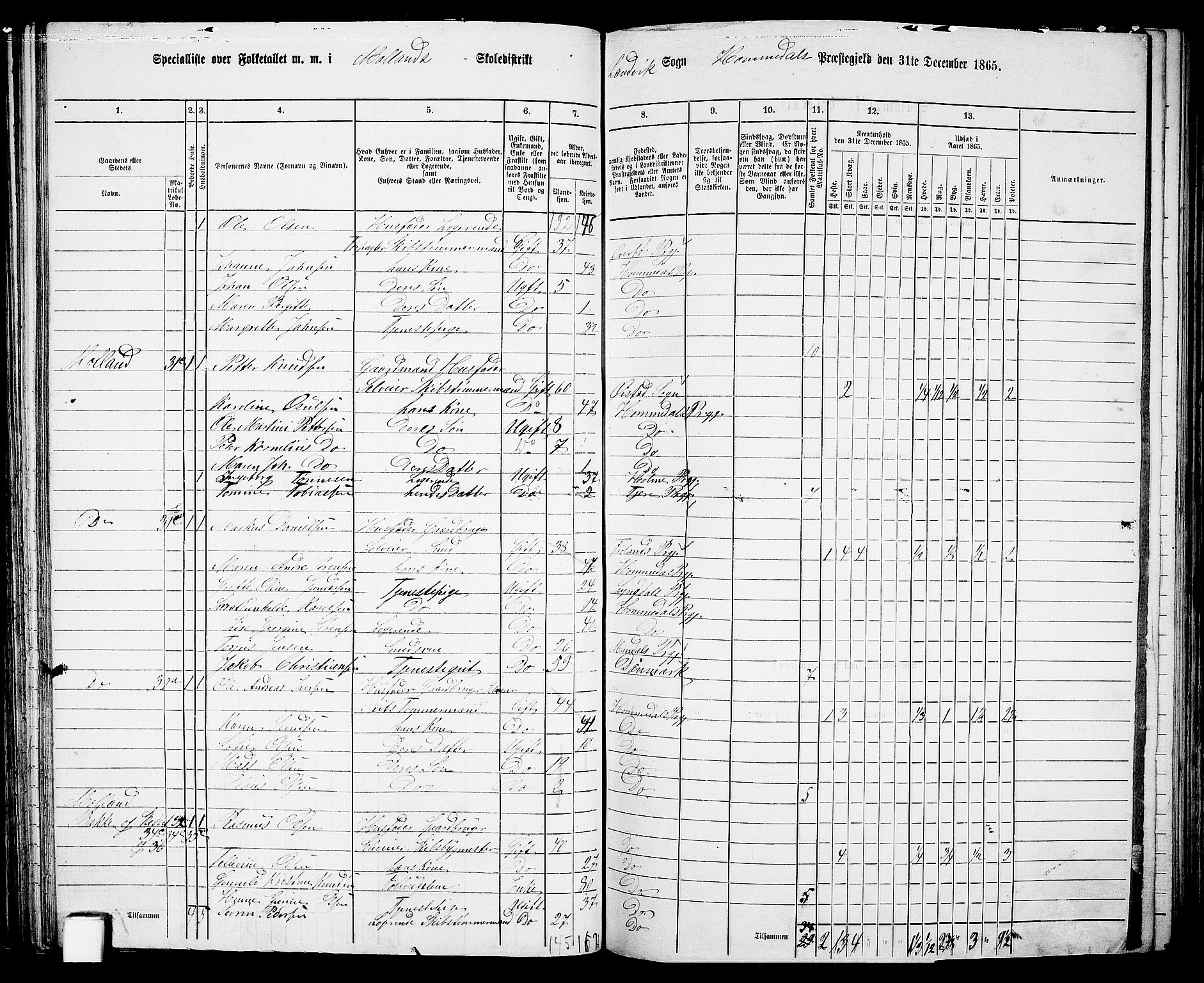 RA, 1865 census for Homedal, 1865, p. 65