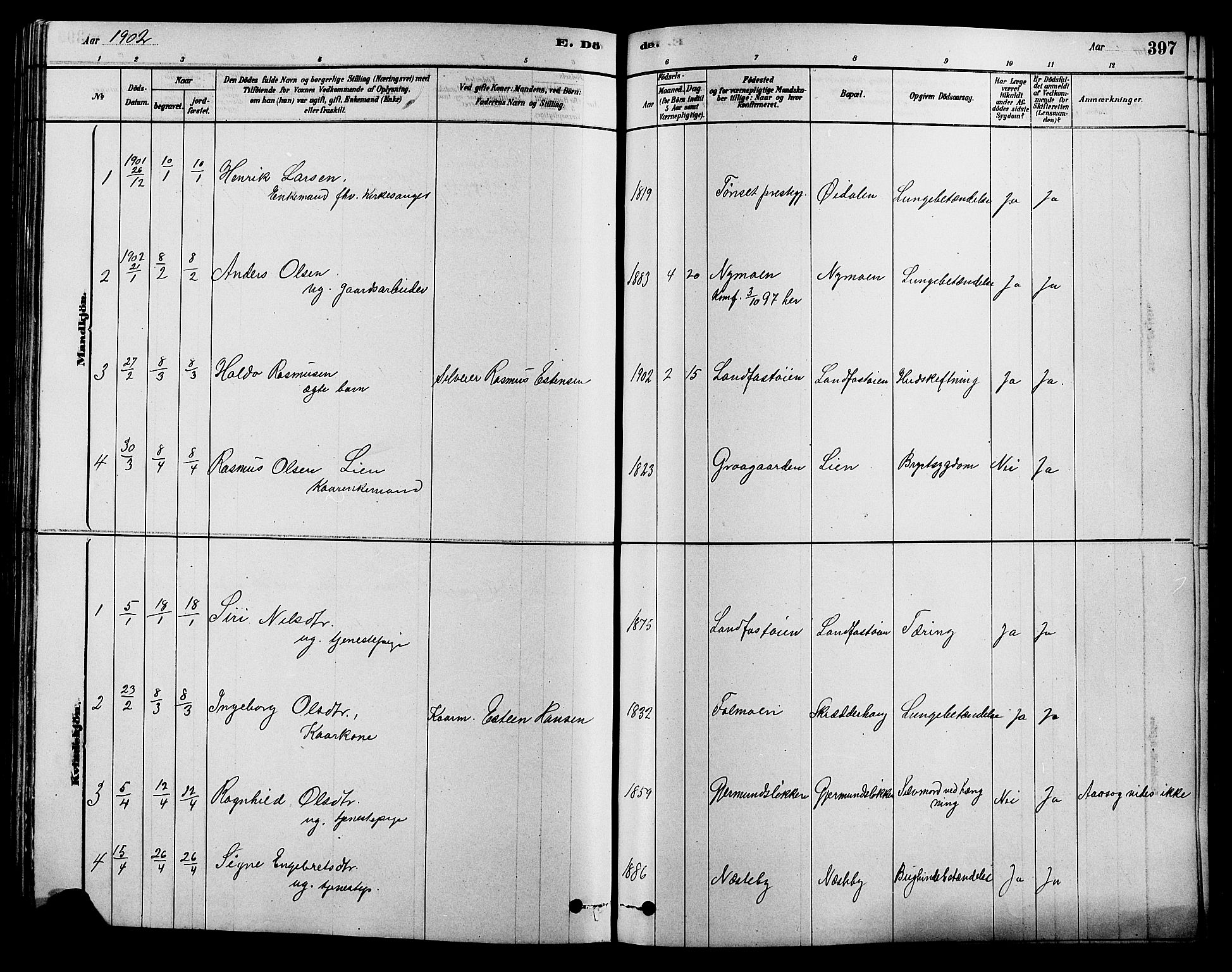 Alvdal prestekontor, SAH/PREST-060/H/Ha/Hab/L0003: Parish register (copy) no. 3, 1878-1907, p. 397