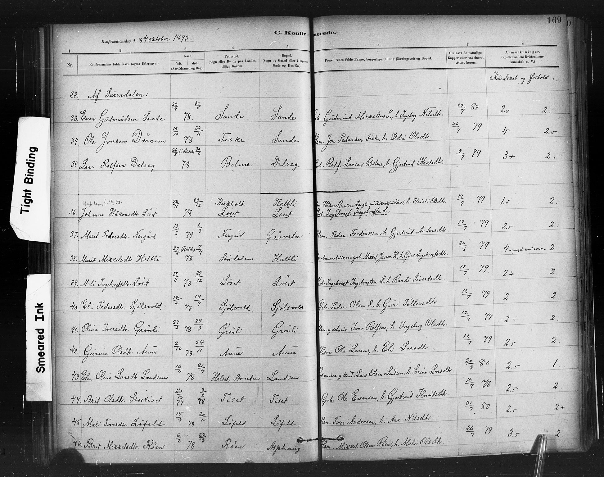 Ministerialprotokoller, klokkerbøker og fødselsregistre - Møre og Romsdal, AV/SAT-A-1454/598/L1069: Parish register (official) no. 598A03, 1882-1895, p. 169