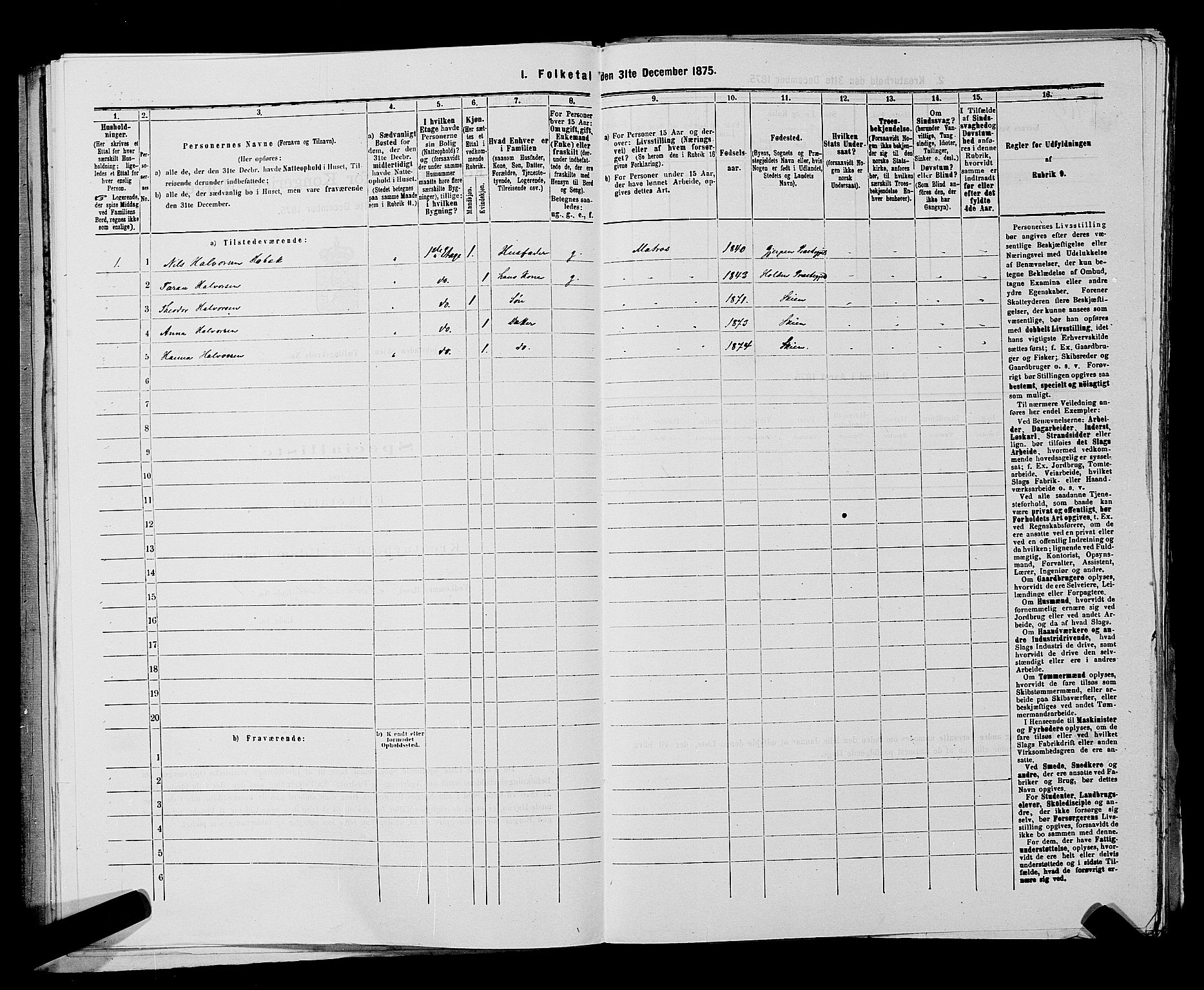 SAKO, 1875 census for 0806P Skien, 1875, p. 867