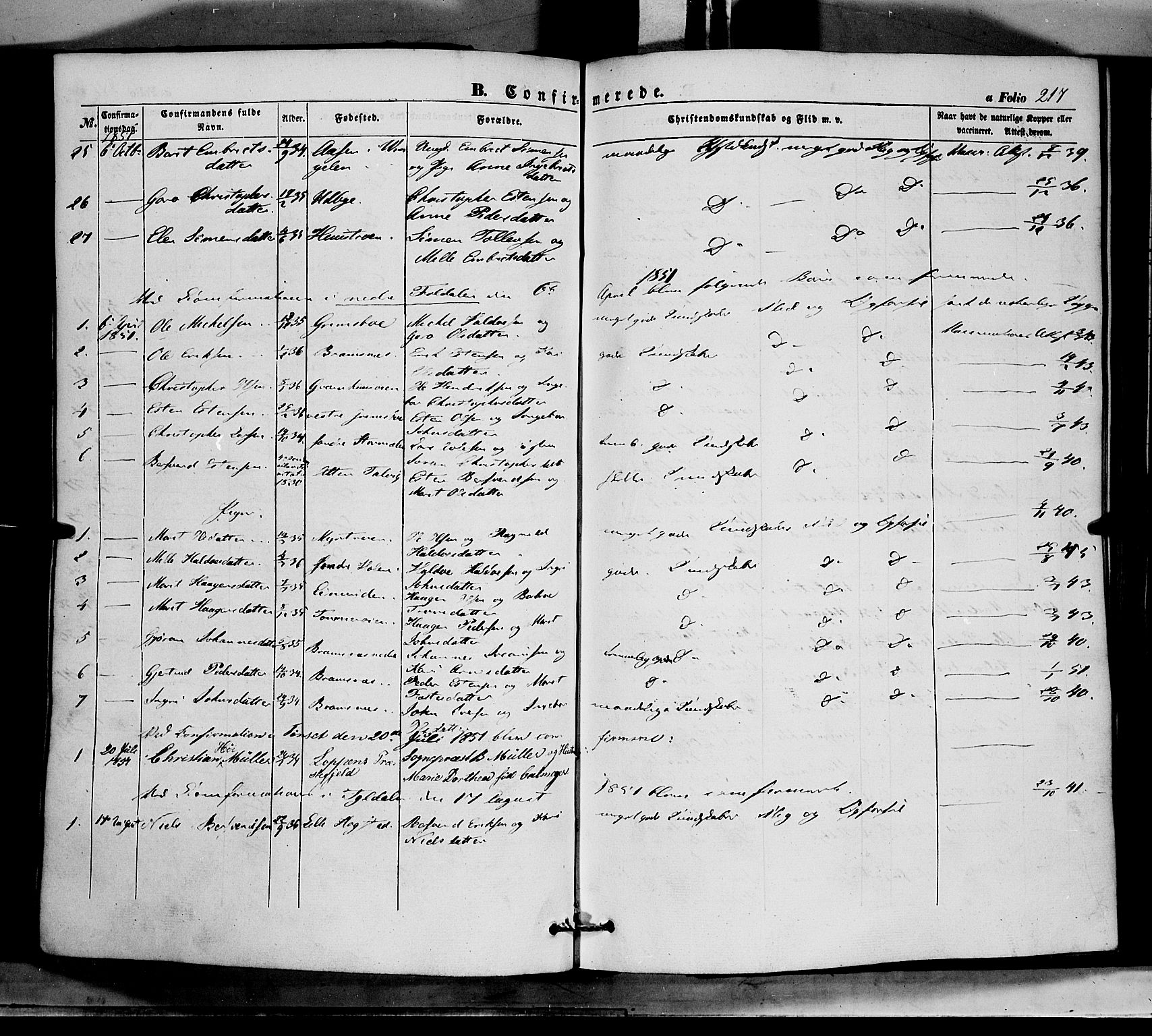 Tynset prestekontor, SAH/PREST-058/H/Ha/Haa/L0020: Parish register (official) no. 20, 1848-1862, p. 217