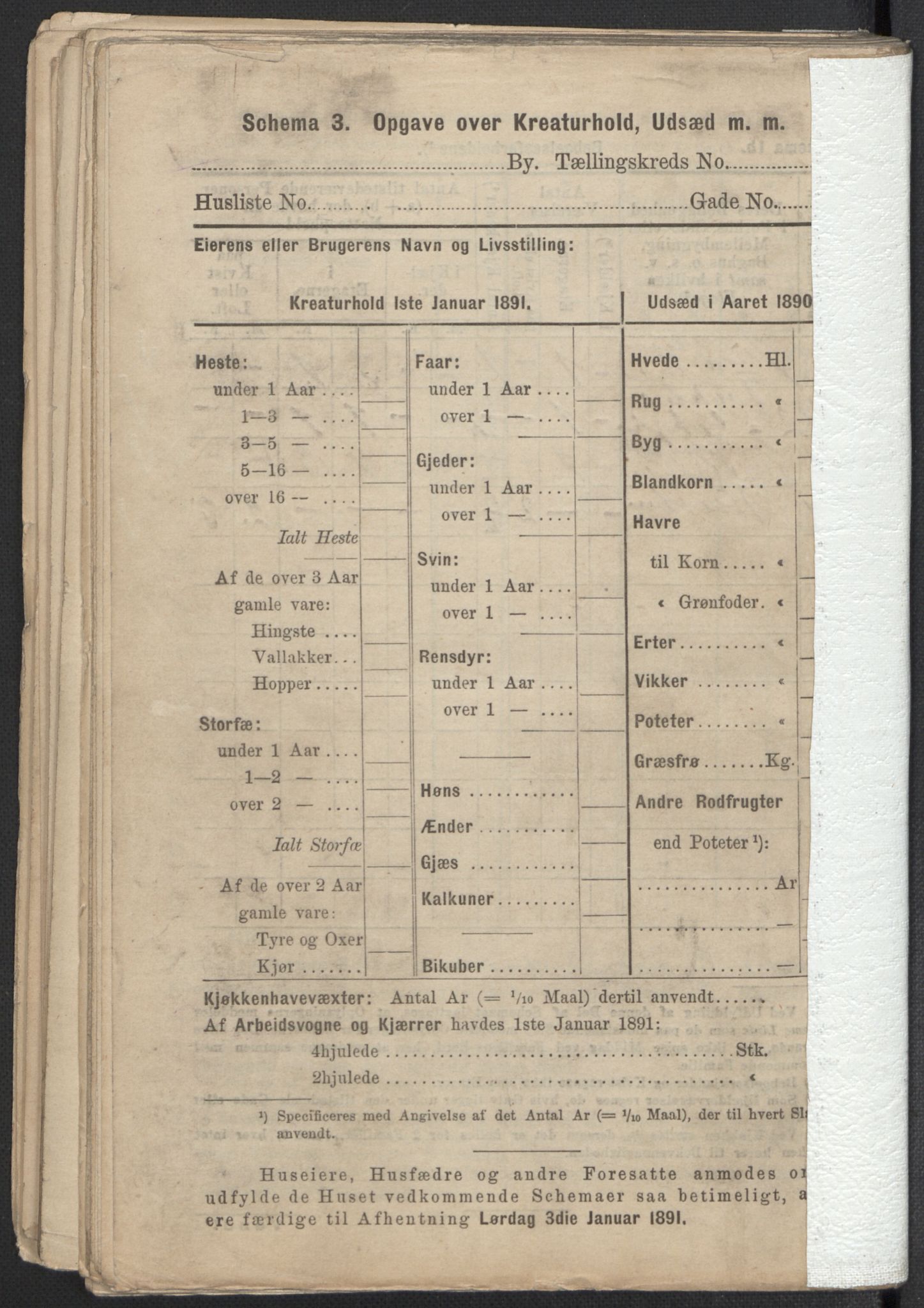 RA, 1891 Census for 1301 Bergen, 1891, p. 8450