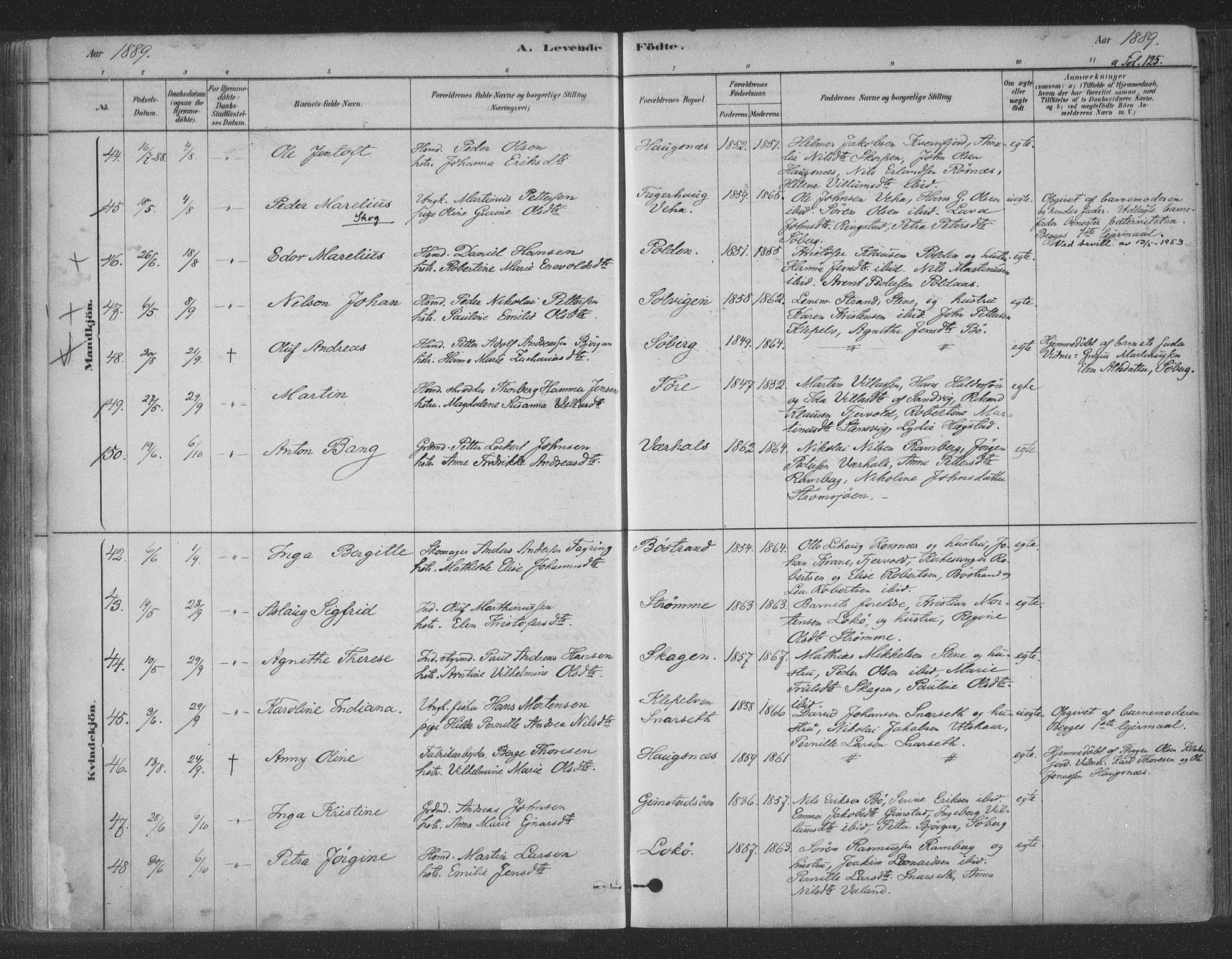 Ministerialprotokoller, klokkerbøker og fødselsregistre - Nordland, AV/SAT-A-1459/891/L1302: Parish register (official) no. 891A07, 1878-1895, p. 125