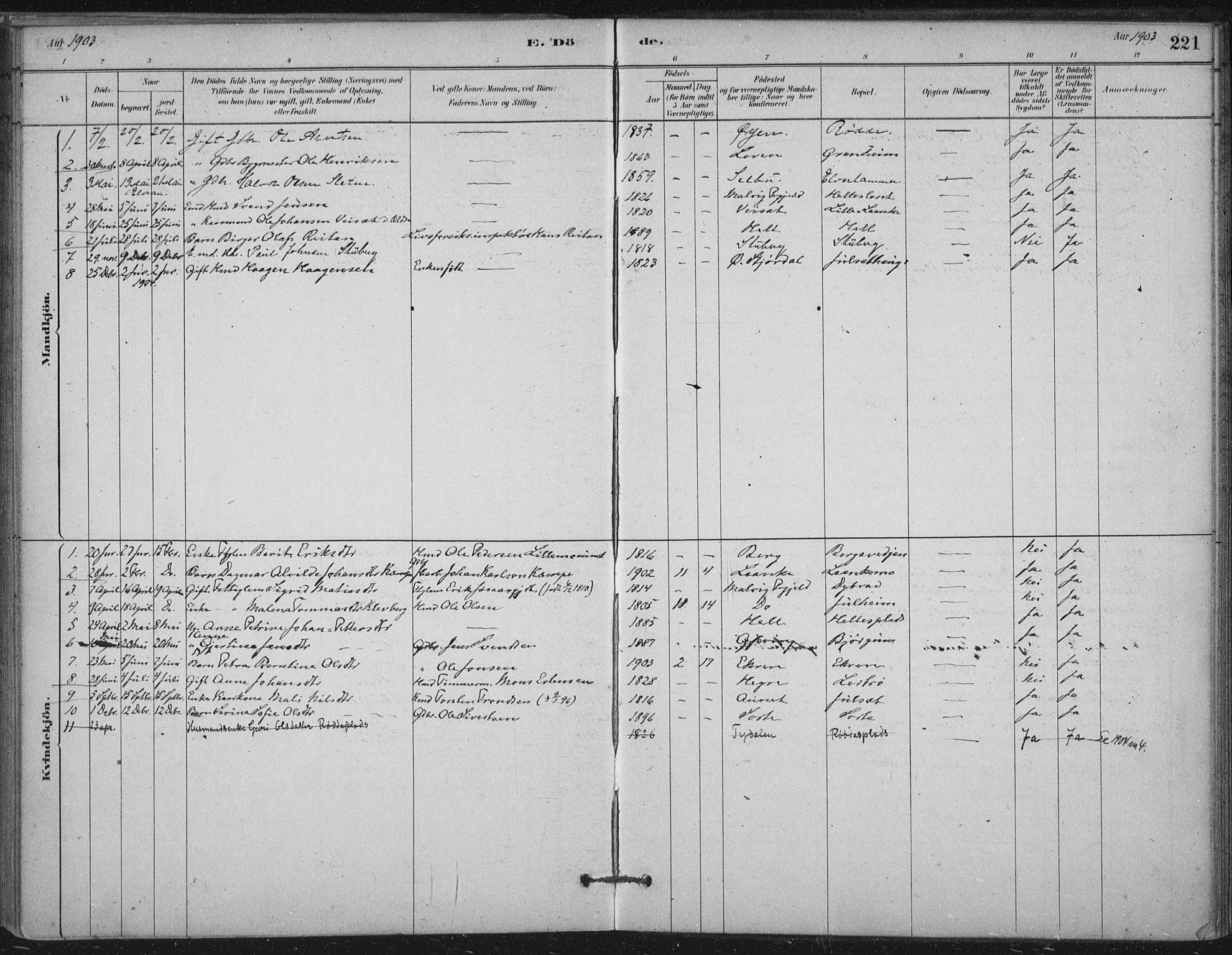 Ministerialprotokoller, klokkerbøker og fødselsregistre - Nord-Trøndelag, AV/SAT-A-1458/710/L0095: Parish register (official) no. 710A01, 1880-1914, p. 221