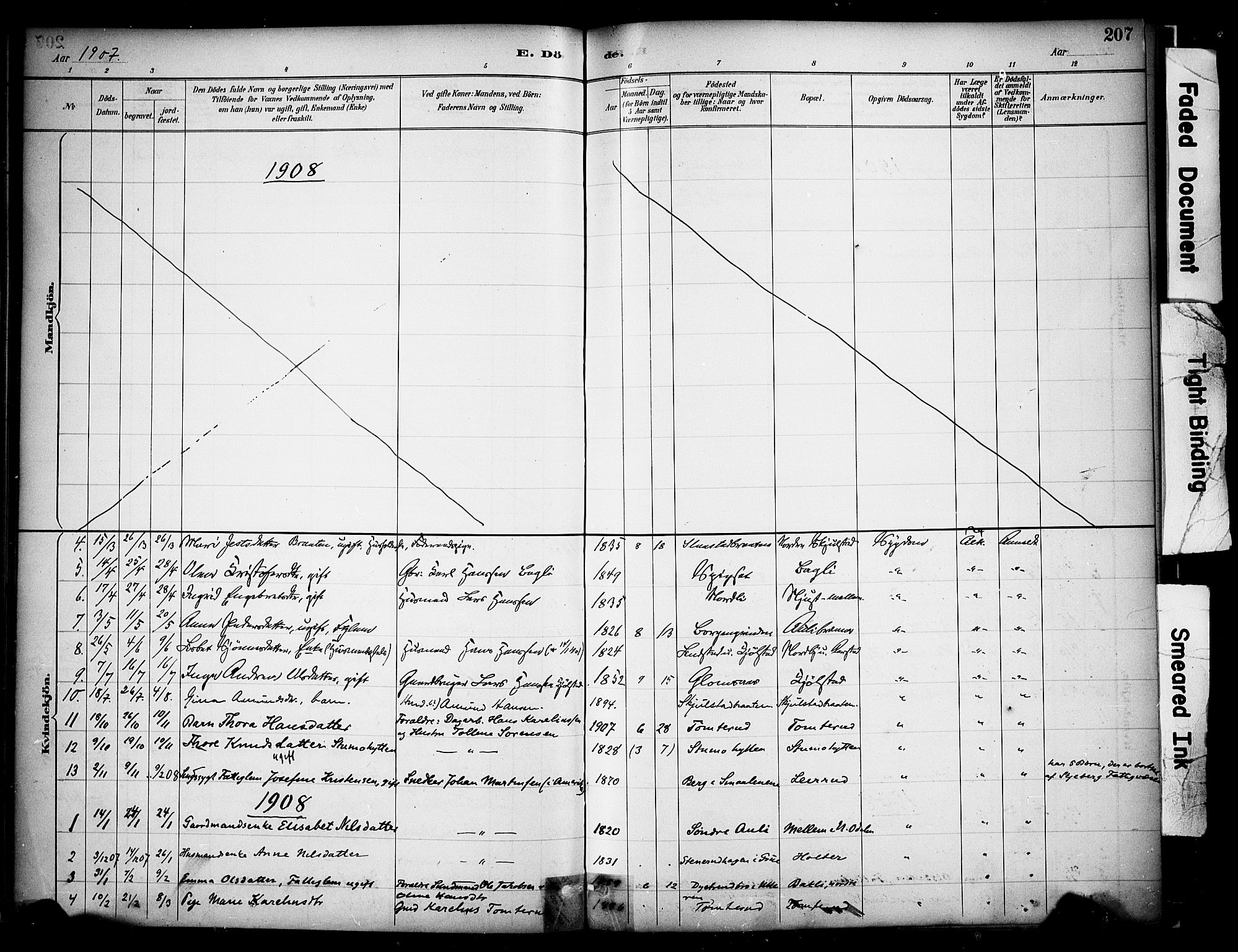 Sør-Odal prestekontor, SAH/PREST-030/H/Ha/Haa/L0009: Parish register (official) no. 9, 1886-1926, p. 207