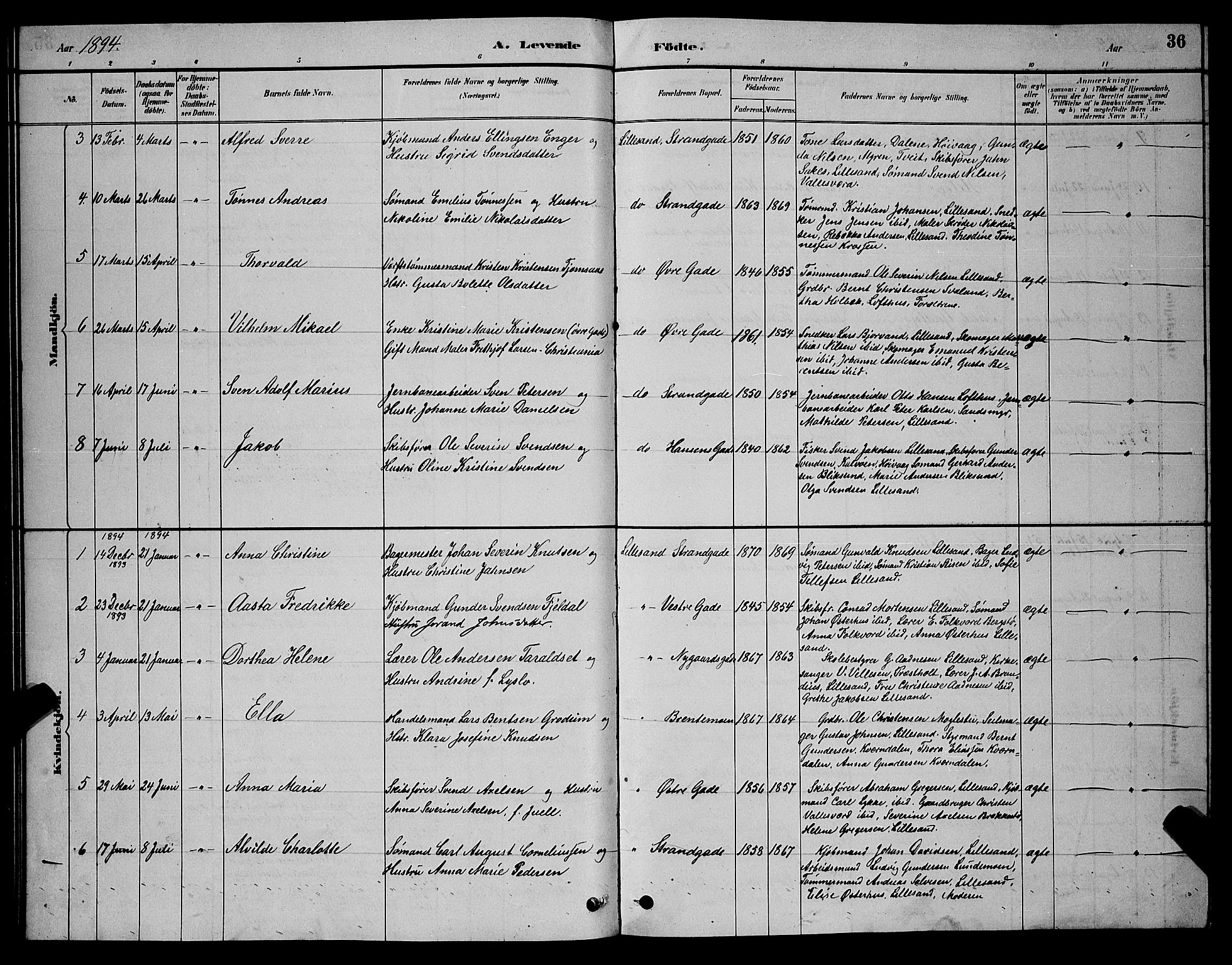Vestre Moland sokneprestkontor, SAK/1111-0046/F/Fb/Fba/L0001: Parish register (copy) no. B 1, 1884-1903, p. 36