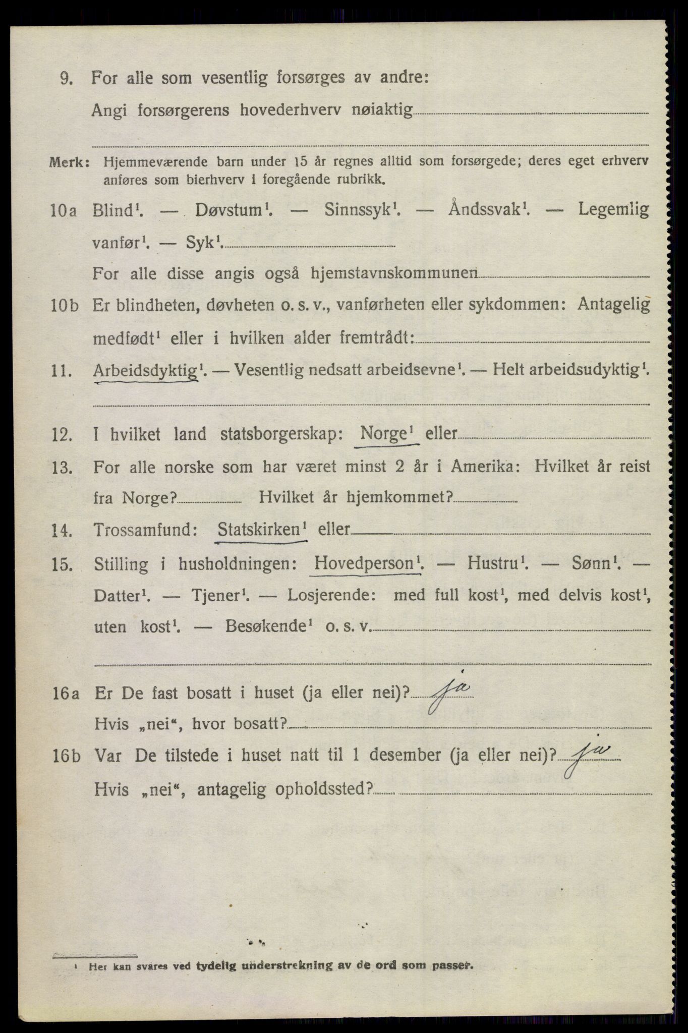 SAKO, 1920 census for Hol (Buskerud), 1920, p. 5296