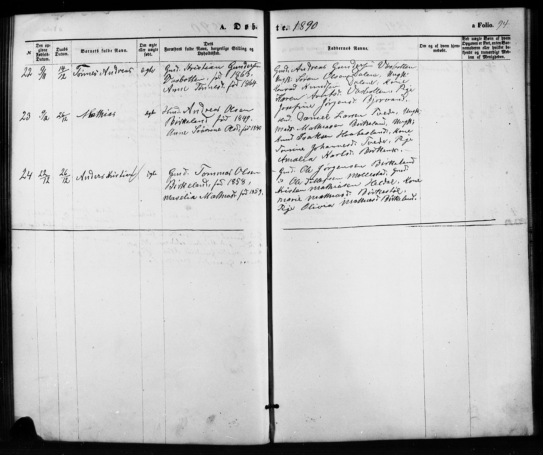 Birkenes sokneprestkontor, SAK/1111-0004/F/Fb/L0003: Parish register (copy) no. B 3, 1876-1892, p. 94