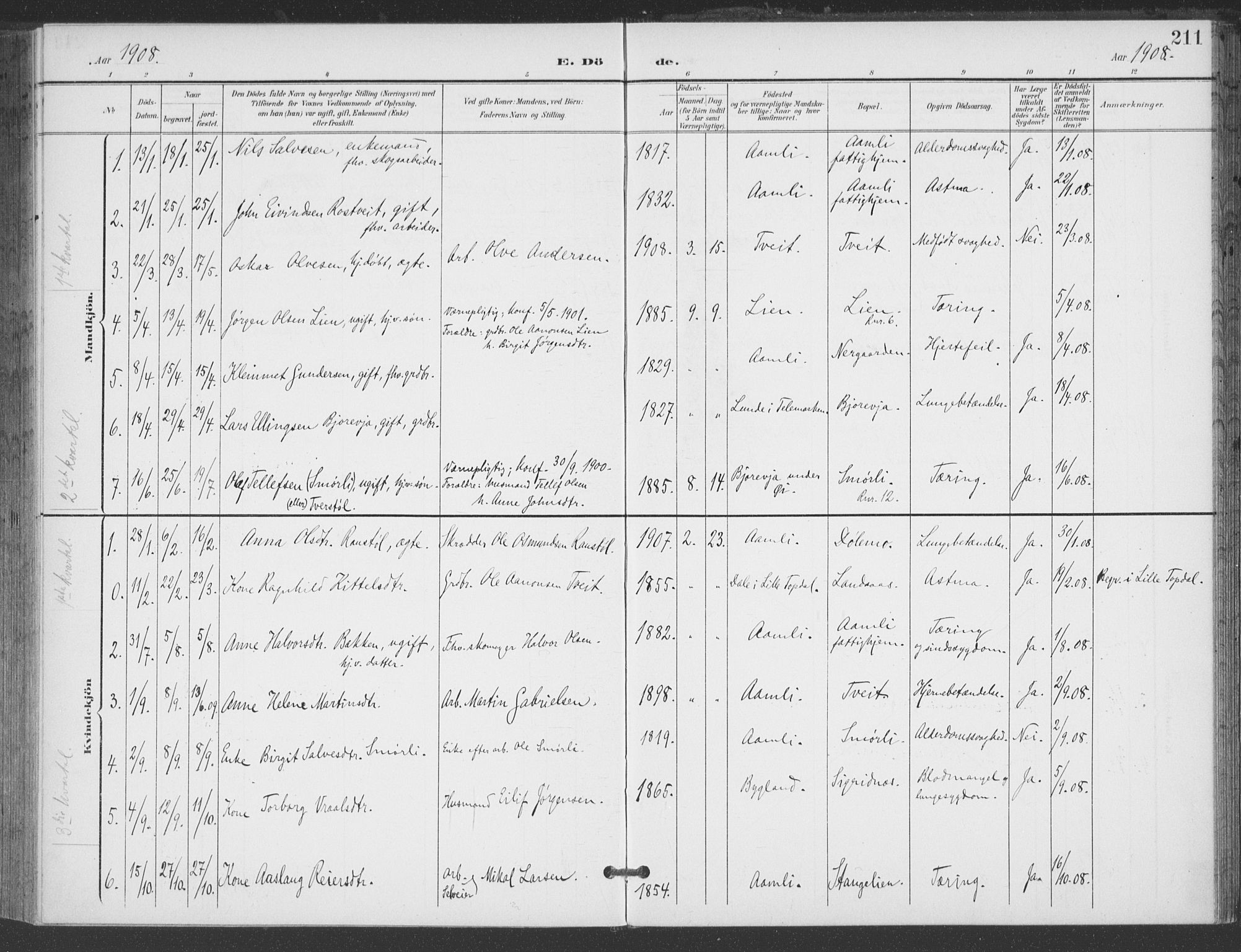 Åmli sokneprestkontor, AV/SAK-1111-0050/F/Fa/Fac/L0012: Parish register (official) no. A 12, 1900-1914, p. 211