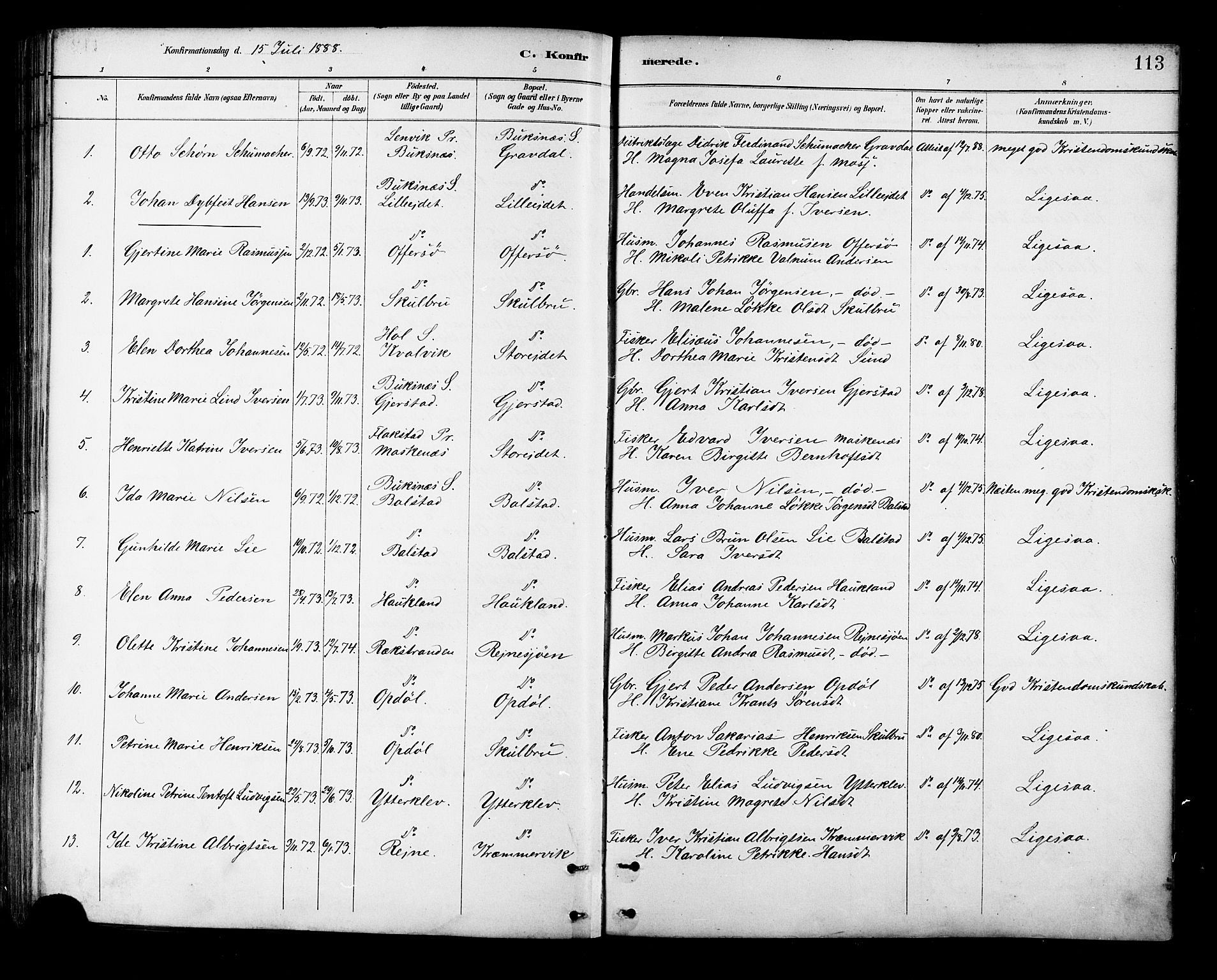 Ministerialprotokoller, klokkerbøker og fødselsregistre - Nordland, SAT/A-1459/881/L1167: Parish register (copy) no. 881C04, 1886-1899, p. 113