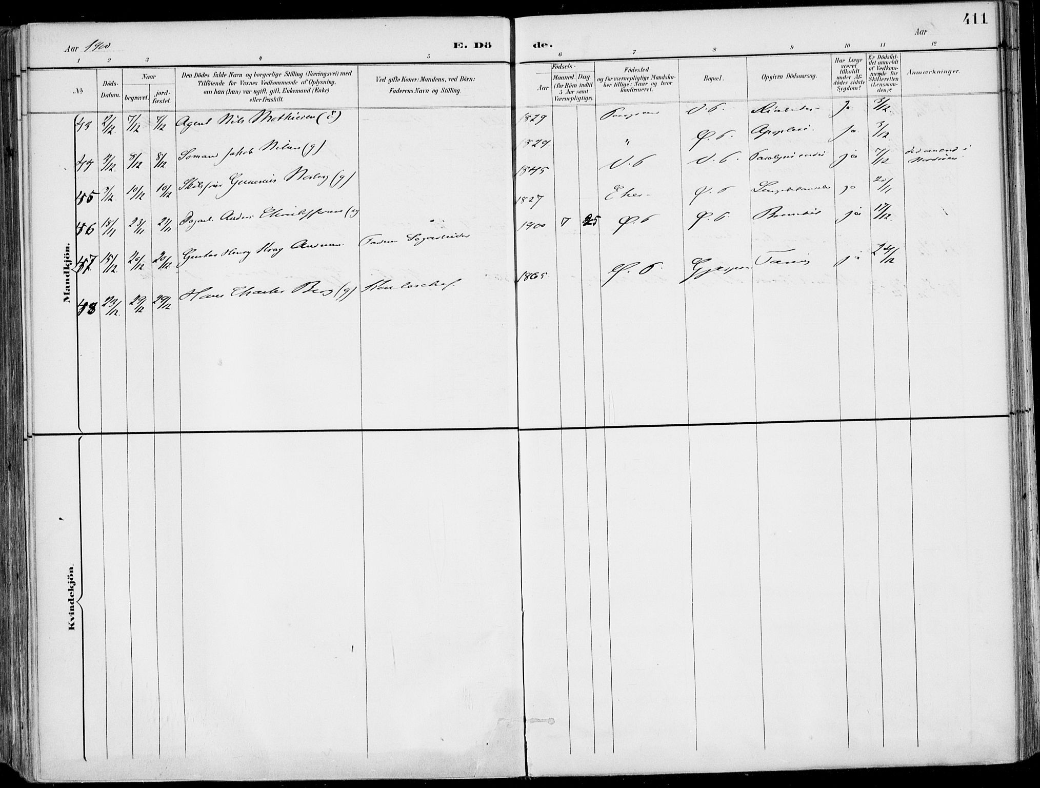 Porsgrunn kirkebøker , SAKO/A-104/F/Fa/L0011: Parish register (official) no. 11, 1895-1919, p. 411