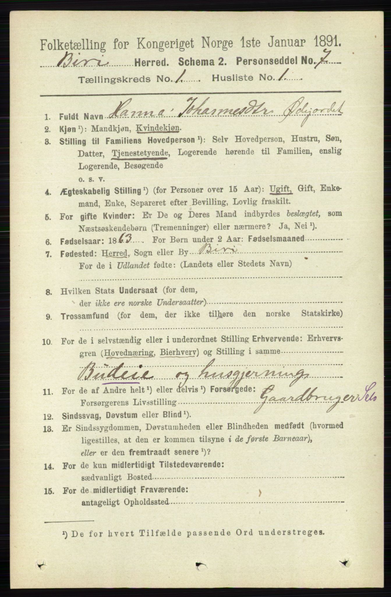 RA, 1891 census for 0525 Biri, 1891, p. 113