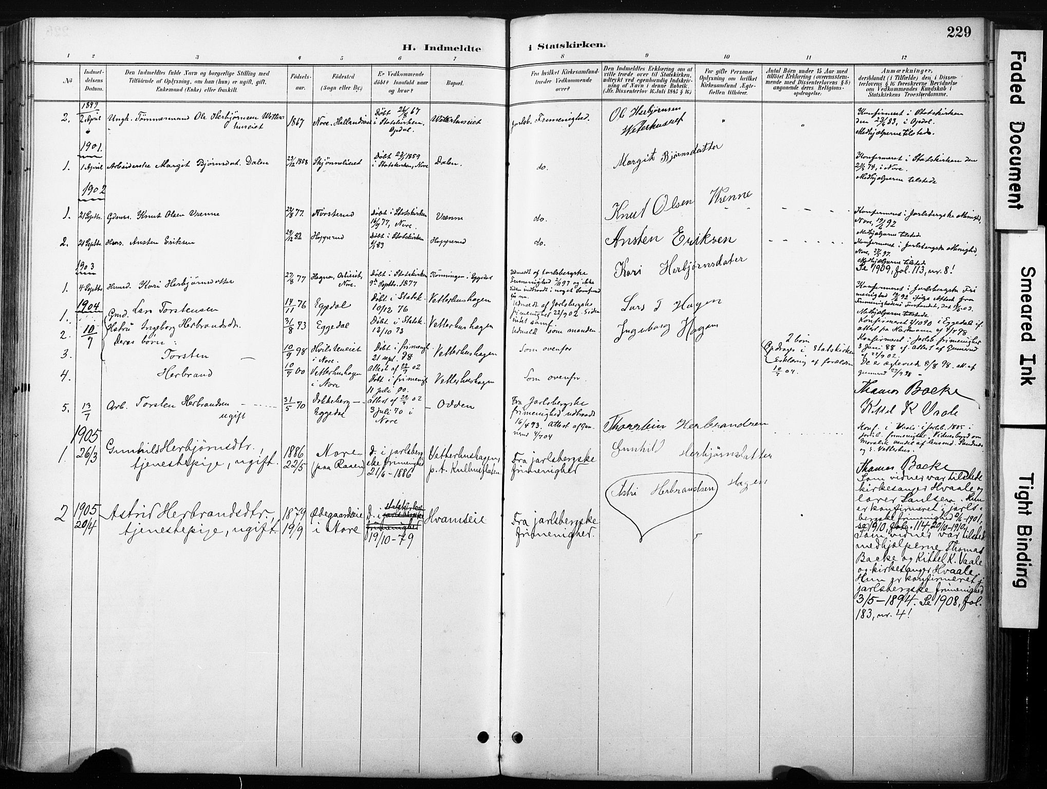 Nore kirkebøker, SAKO/A-238/F/Fb/L0002: Parish register (official) no. II 2, 1886-1906, p. 229