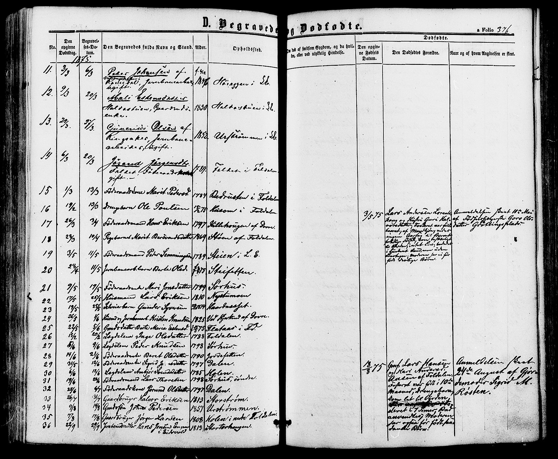 Alvdal prestekontor, SAH/PREST-060/H/Ha/Haa/L0001: Parish register (official) no. 1, 1863-1882, p. 376