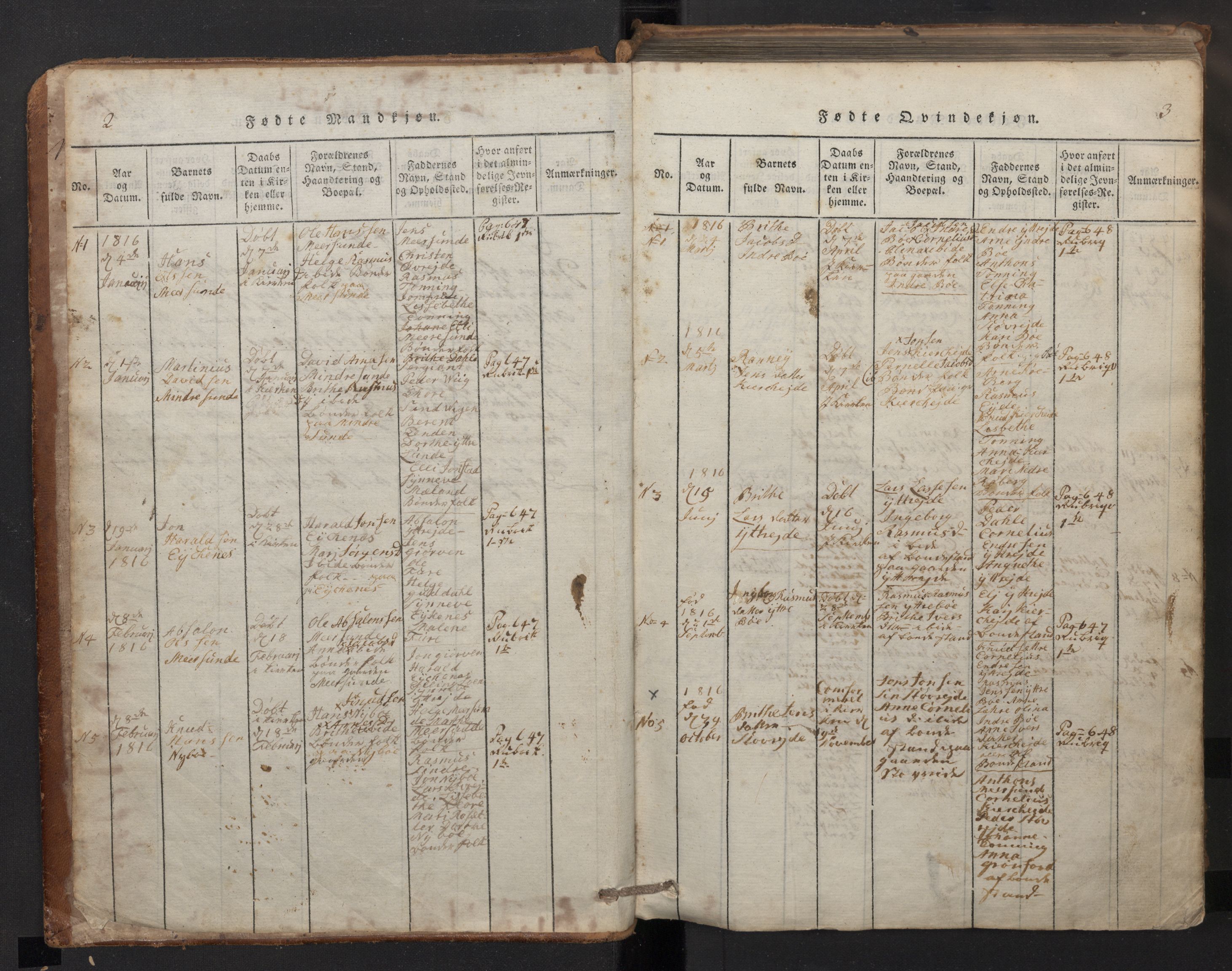 Stryn Sokneprestembete, SAB/A-82501: Parish register (copy) no. A 1, 1816-1844, p. 2-3