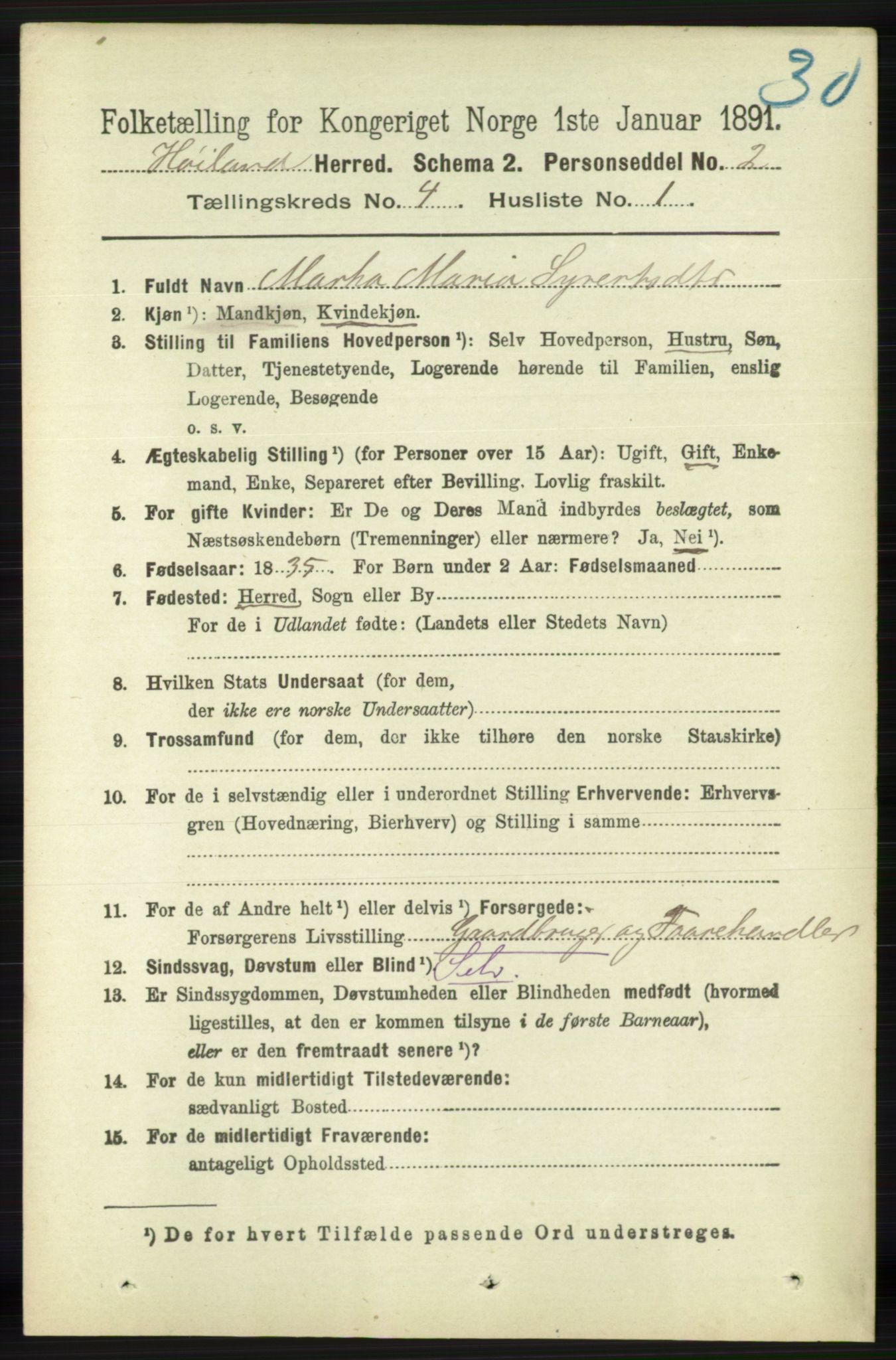 RA, 1891 census for 1123 Høyland, 1891, p. 1028