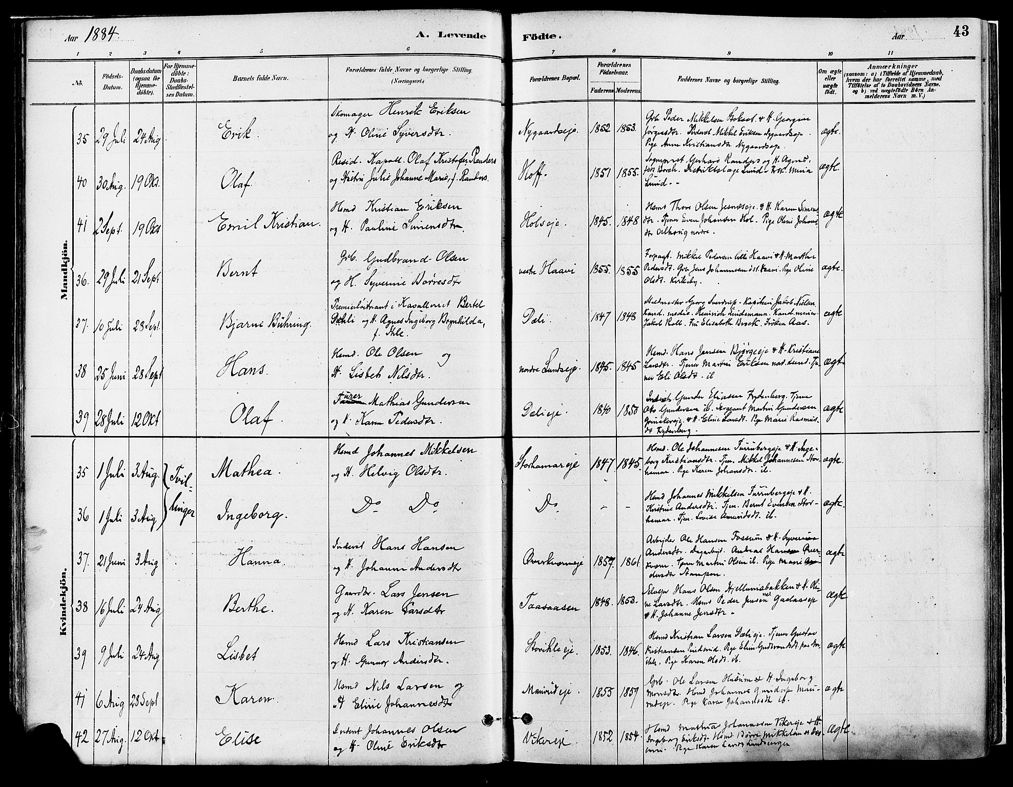 Vang prestekontor, Hedmark, SAH/PREST-008/H/Ha/Haa/L0018A: Parish register (official) no. 18A, 1880-1906, p. 43