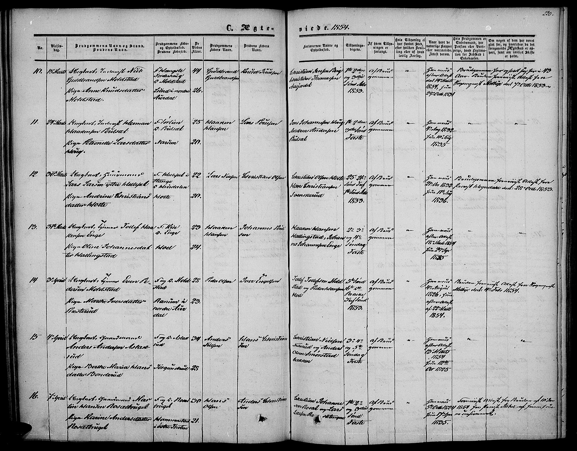 Vestre Toten prestekontor, AV/SAH-PREST-108/H/Ha/Haa/L0005: Parish register (official) no. 5, 1850-1855, p. 220