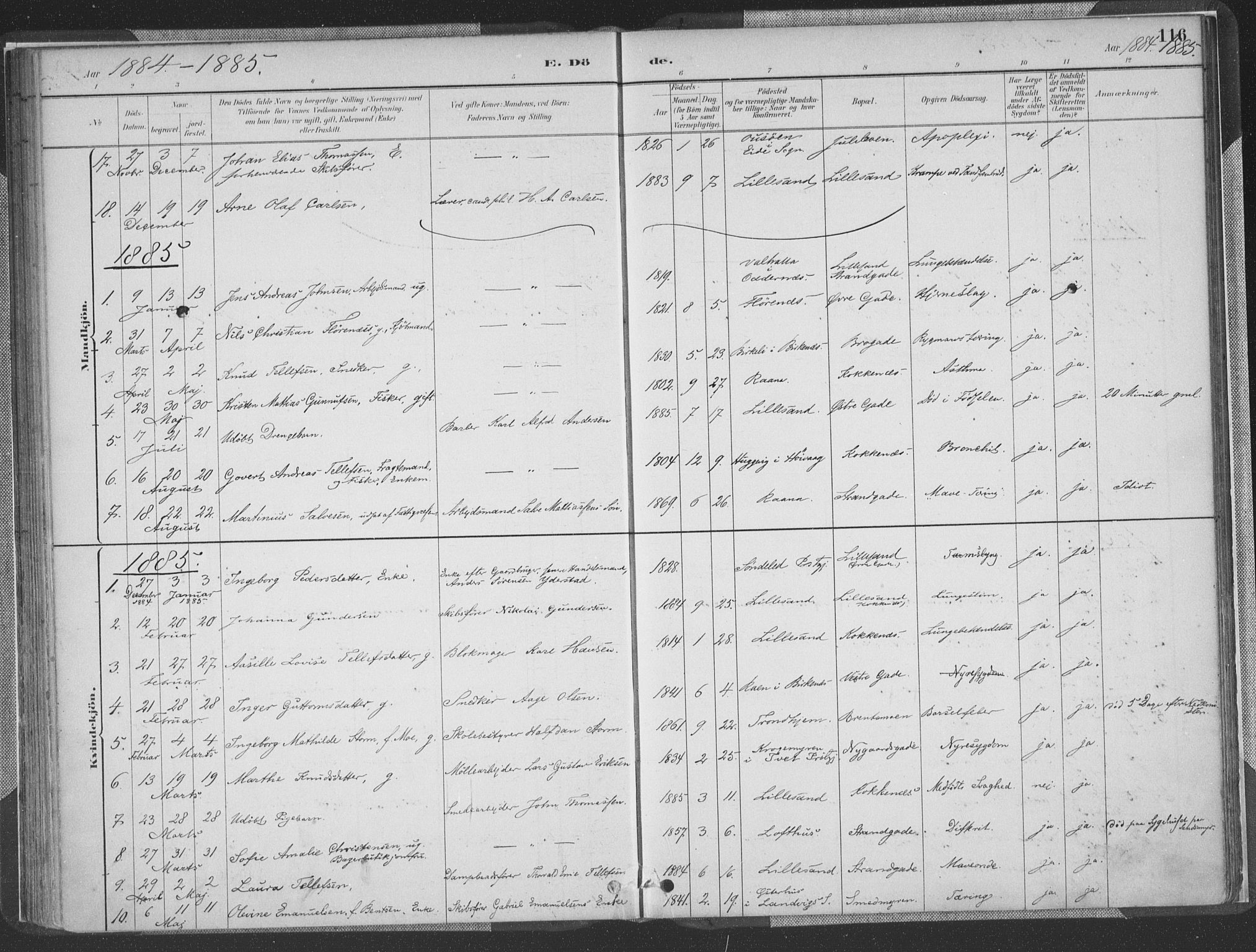 Vestre Moland sokneprestkontor, AV/SAK-1111-0046/F/Fa/Faa/L0001: Parish register (official) no. A 1, 1884-1899, p. 116