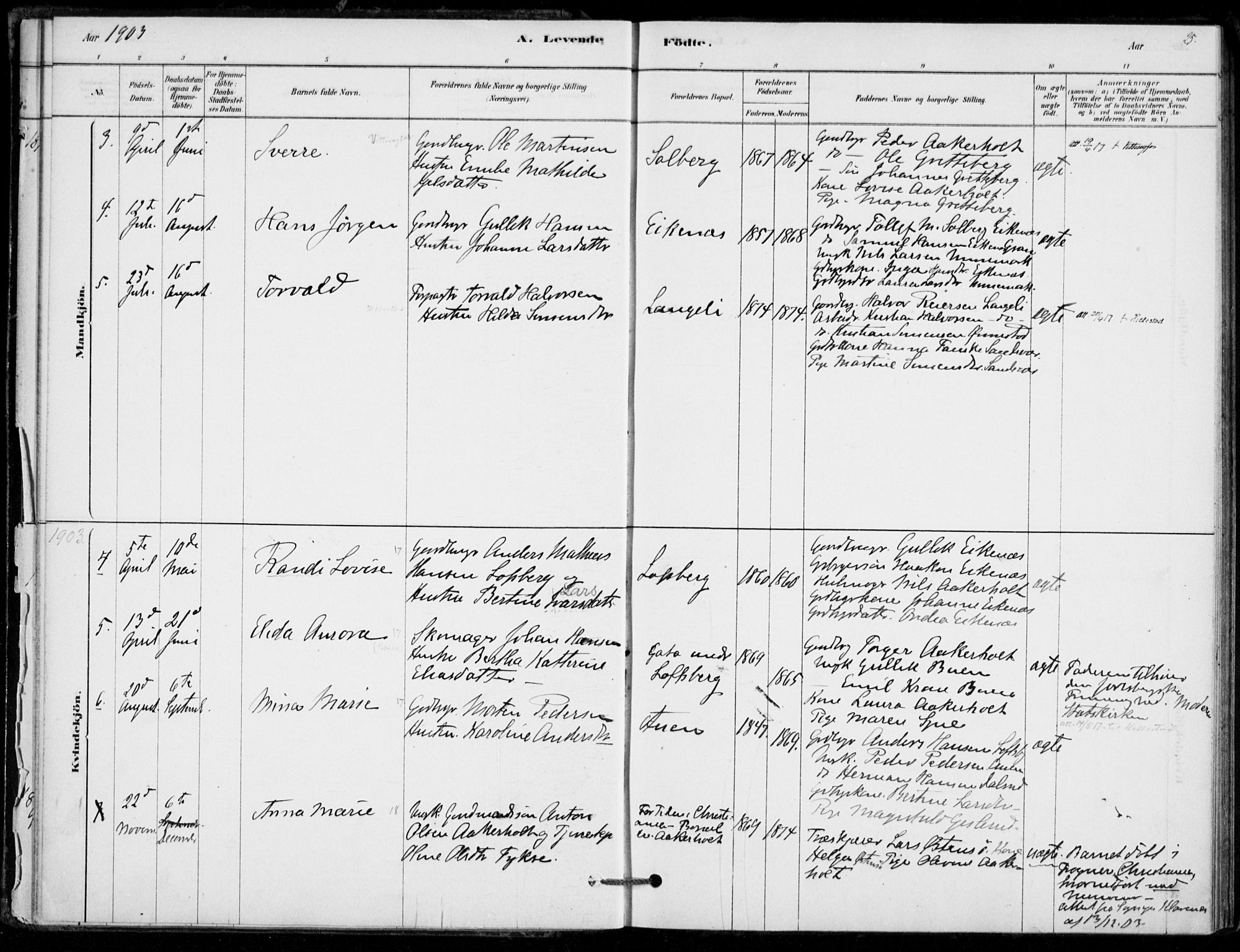 Hof kirkebøker, SAKO/A-64/F/Fb/L0001: Parish register (official) no. II 1, 1878-1907, p. 25