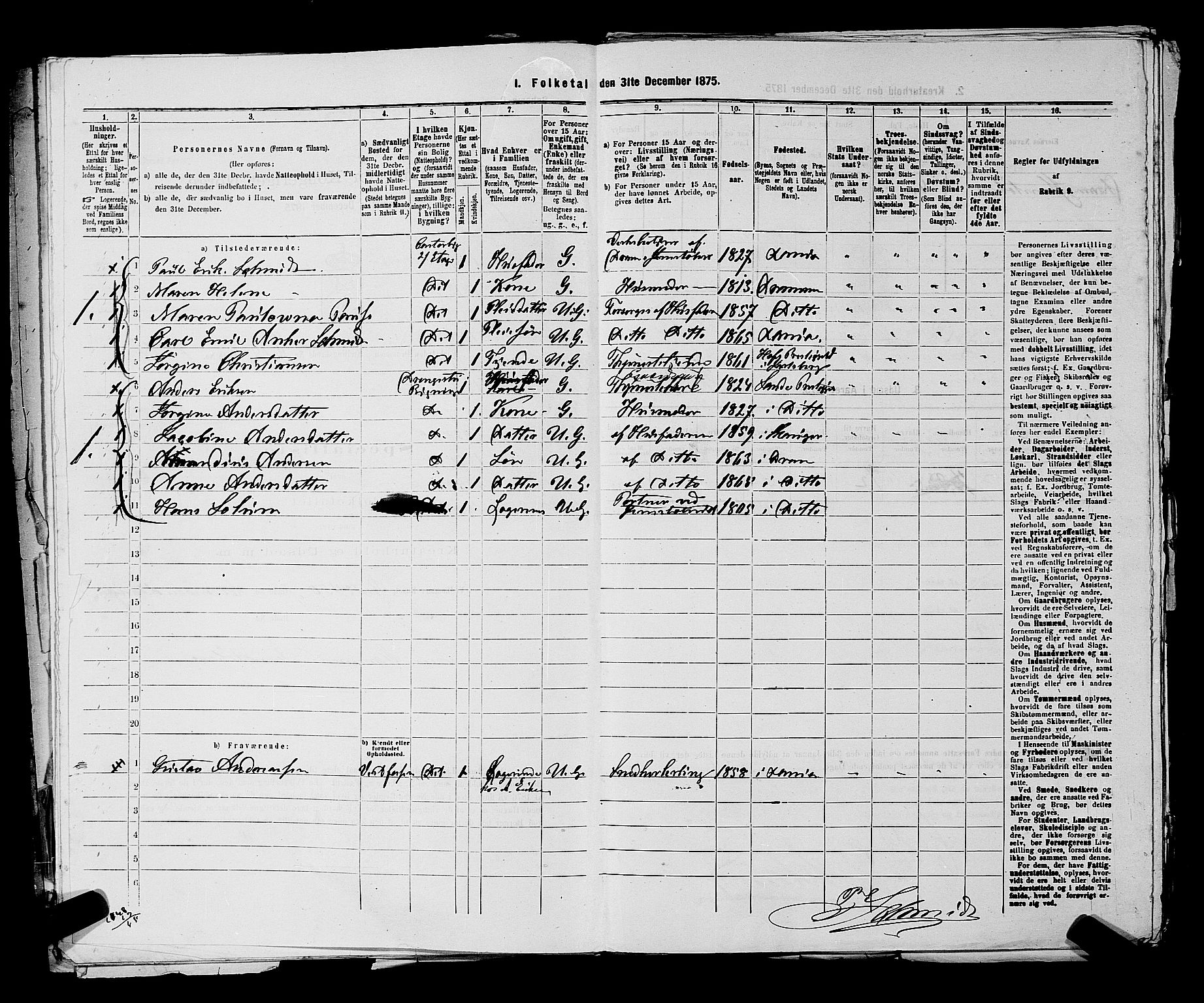 SAKO, 1875 census for 0602 Drammen, 1875, p. 3699