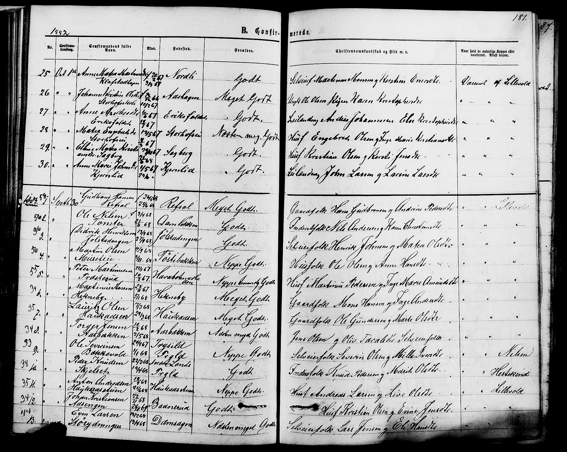 Romedal prestekontor, SAH/PREST-004/K/L0006: Parish register (official) no. 6, 1866-1886, p. 181