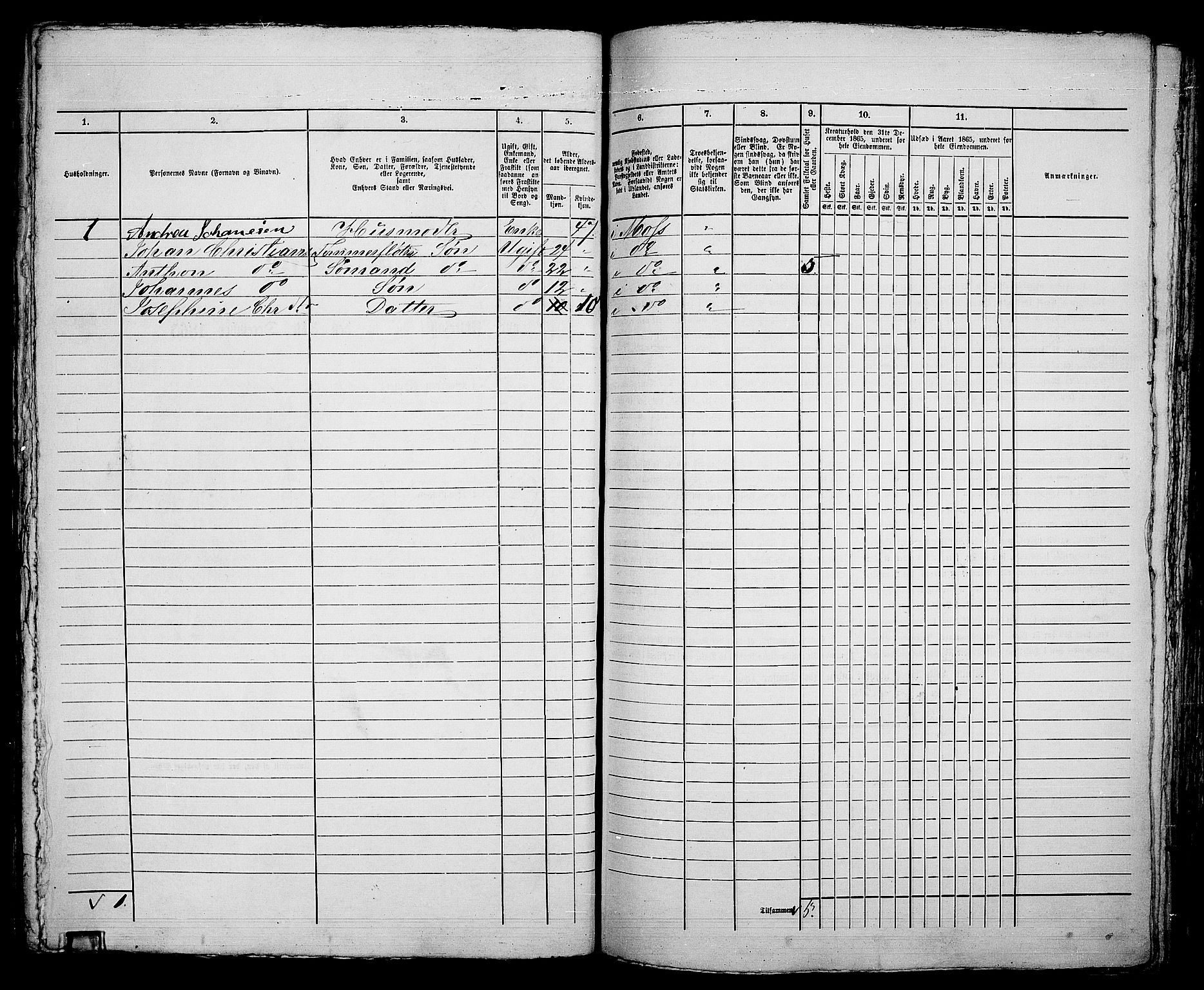 RA, 1865 census for Moss/Moss, 1865, p. 252