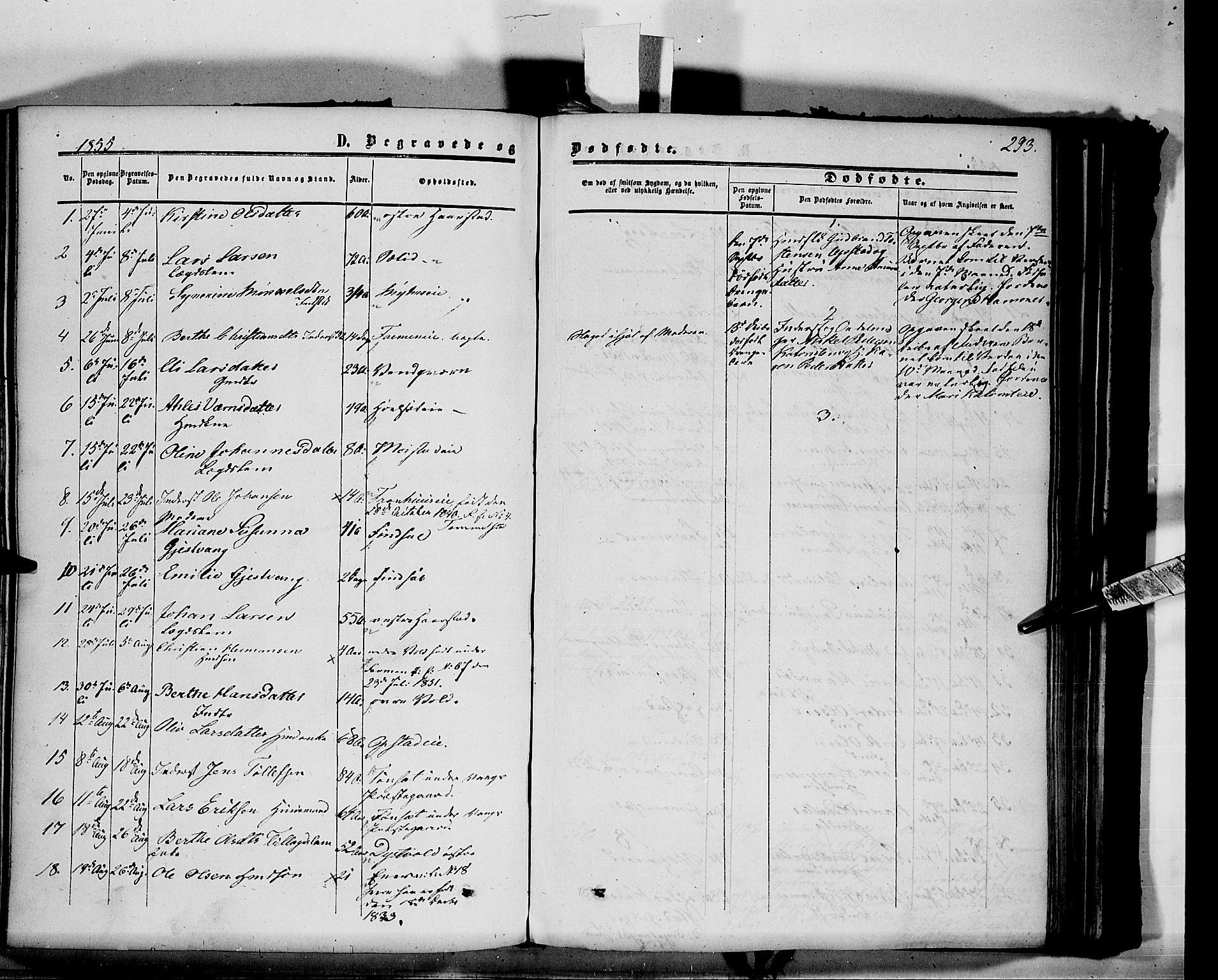 Vang prestekontor, Hedmark, SAH/PREST-008/H/Ha/Haa/L0012: Parish register (official) no. 12, 1855-1870, p. 293